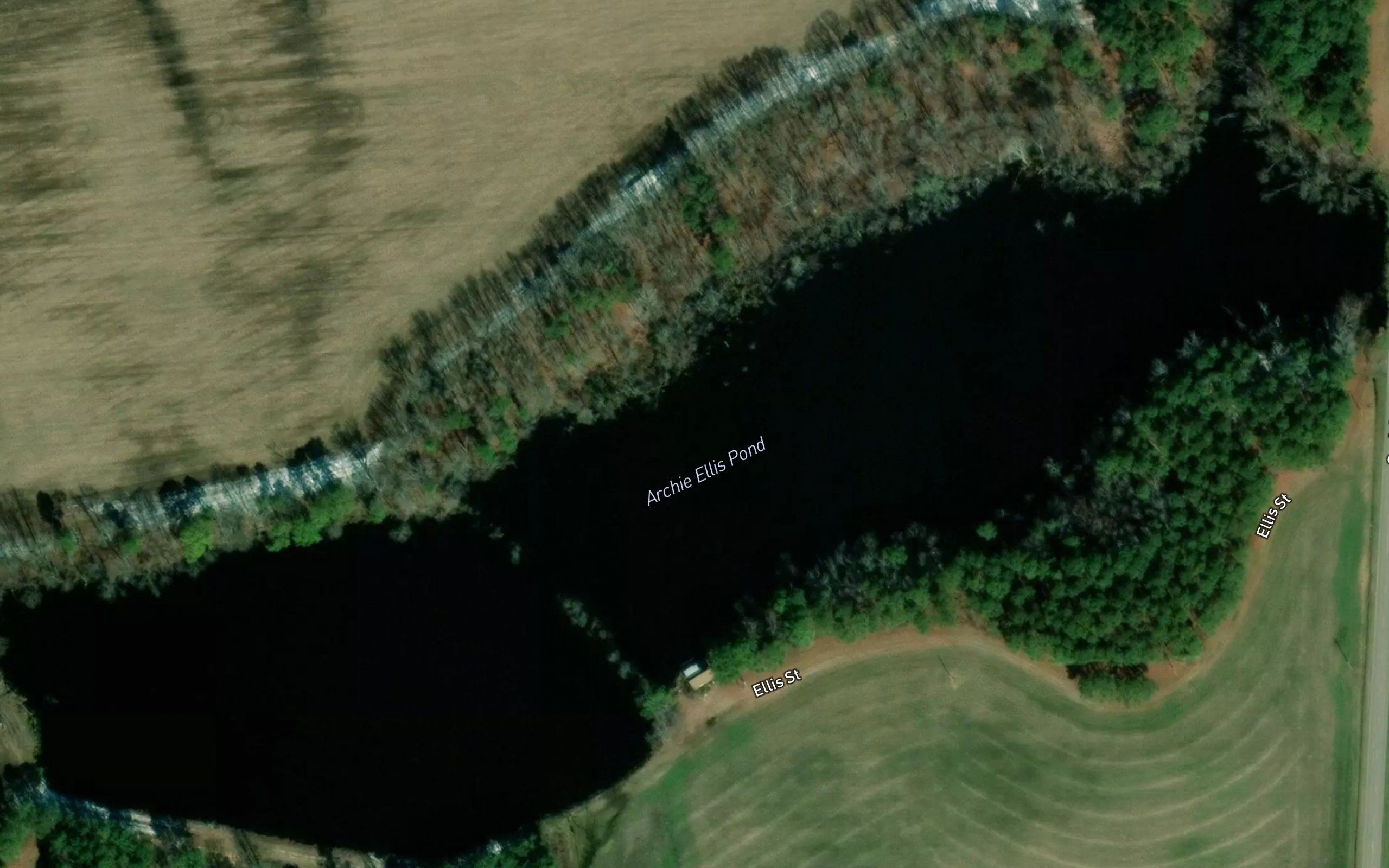 Archie Ellis Pond