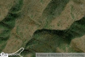 Right Prong Benson Run