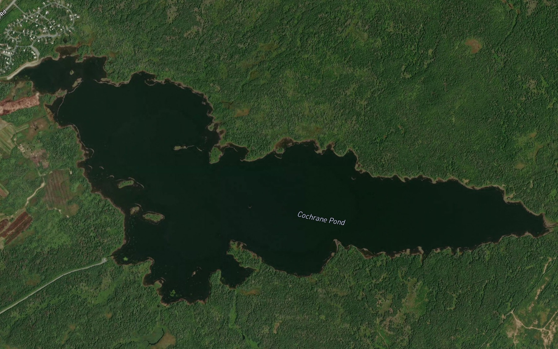 Satellite map of the Cochrane Pond