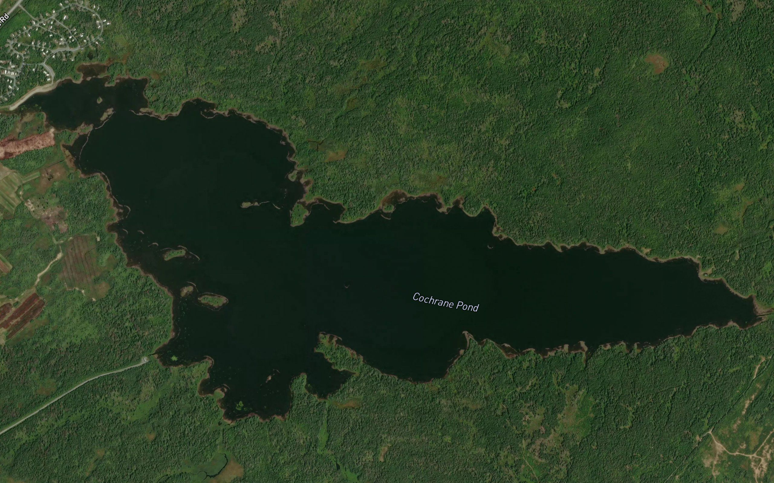 Cochrane Pond