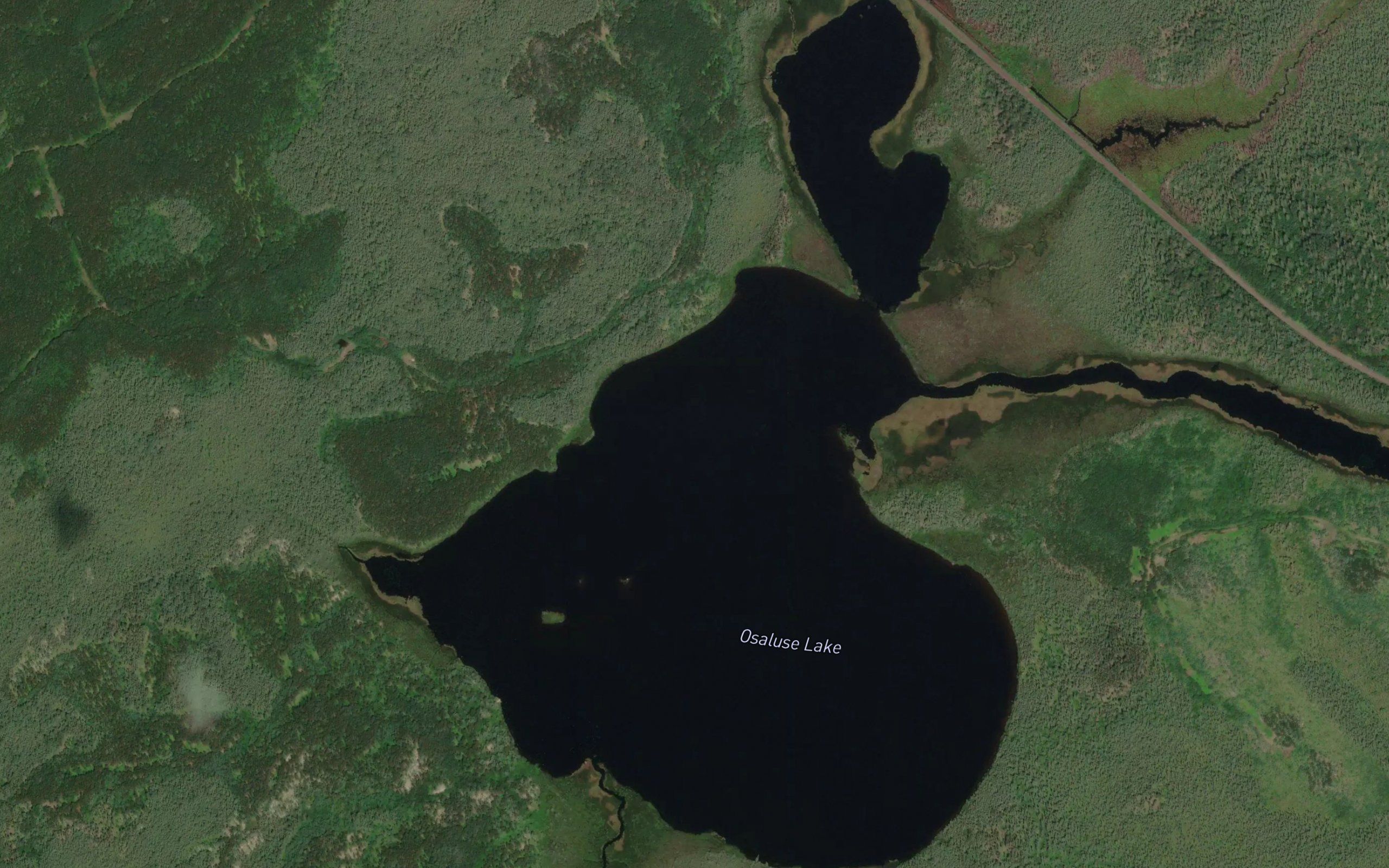 Osaluse Lake