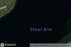 Shoal Arm