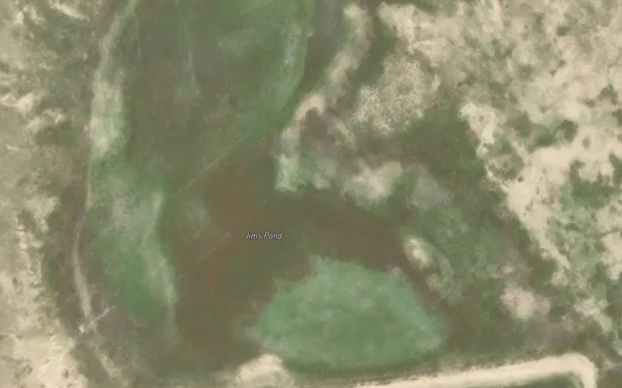 Jims Pond