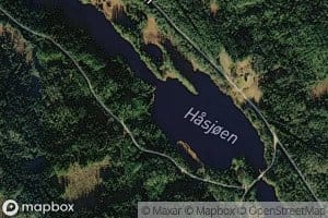 Hasjoen