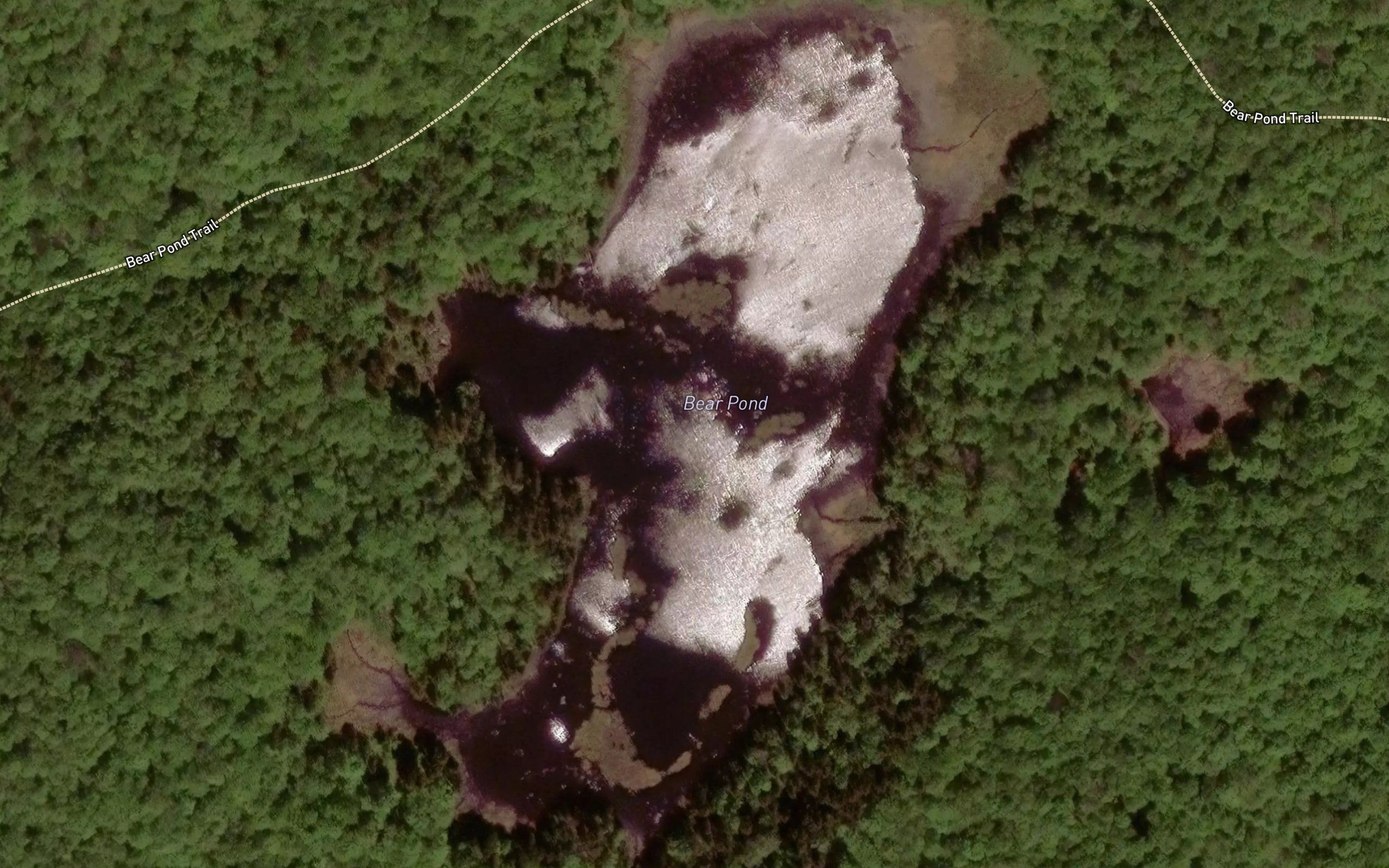 Bear Pond