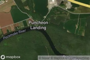 Puncheon Landing Branch