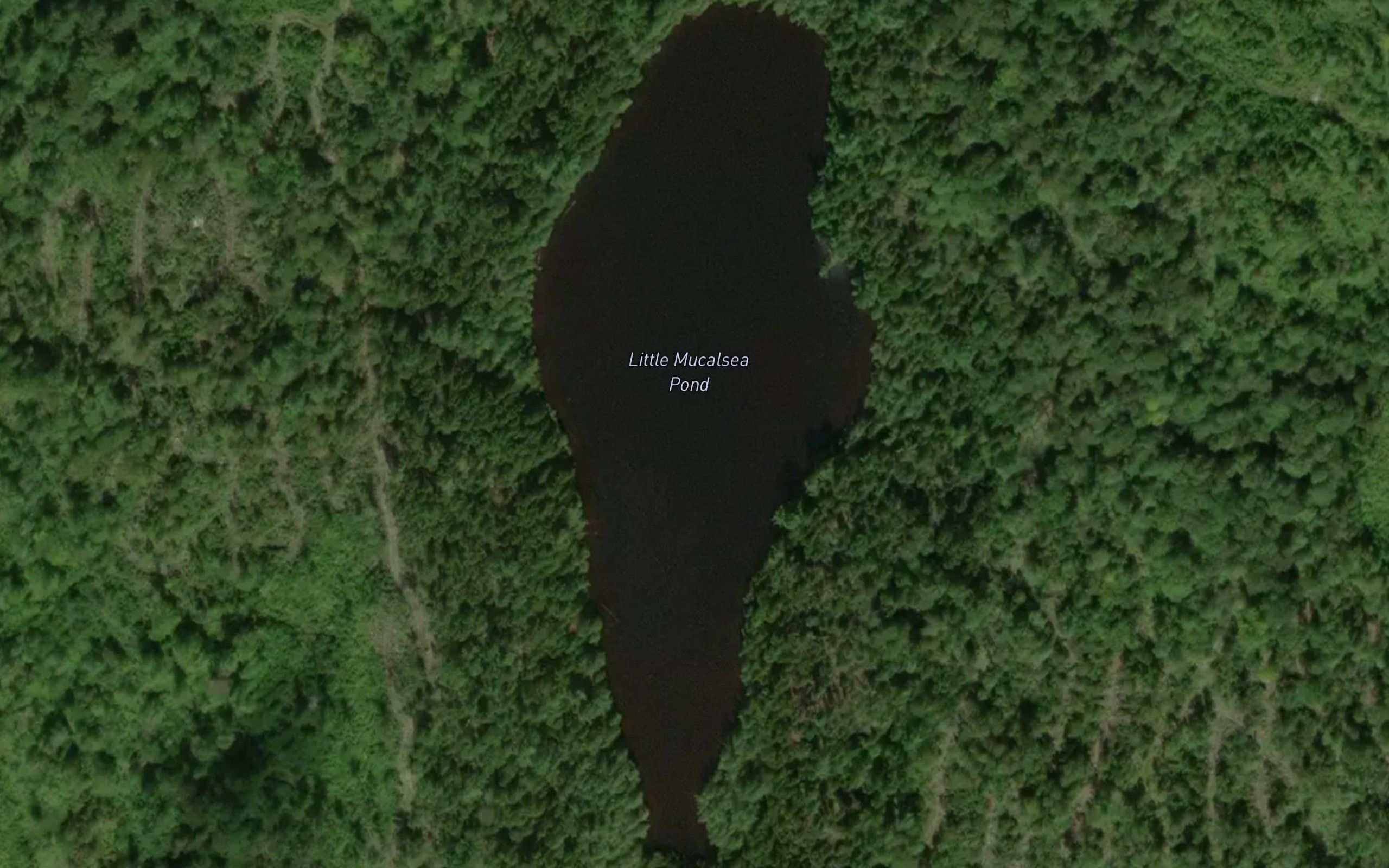 Little Mucalsea Pond