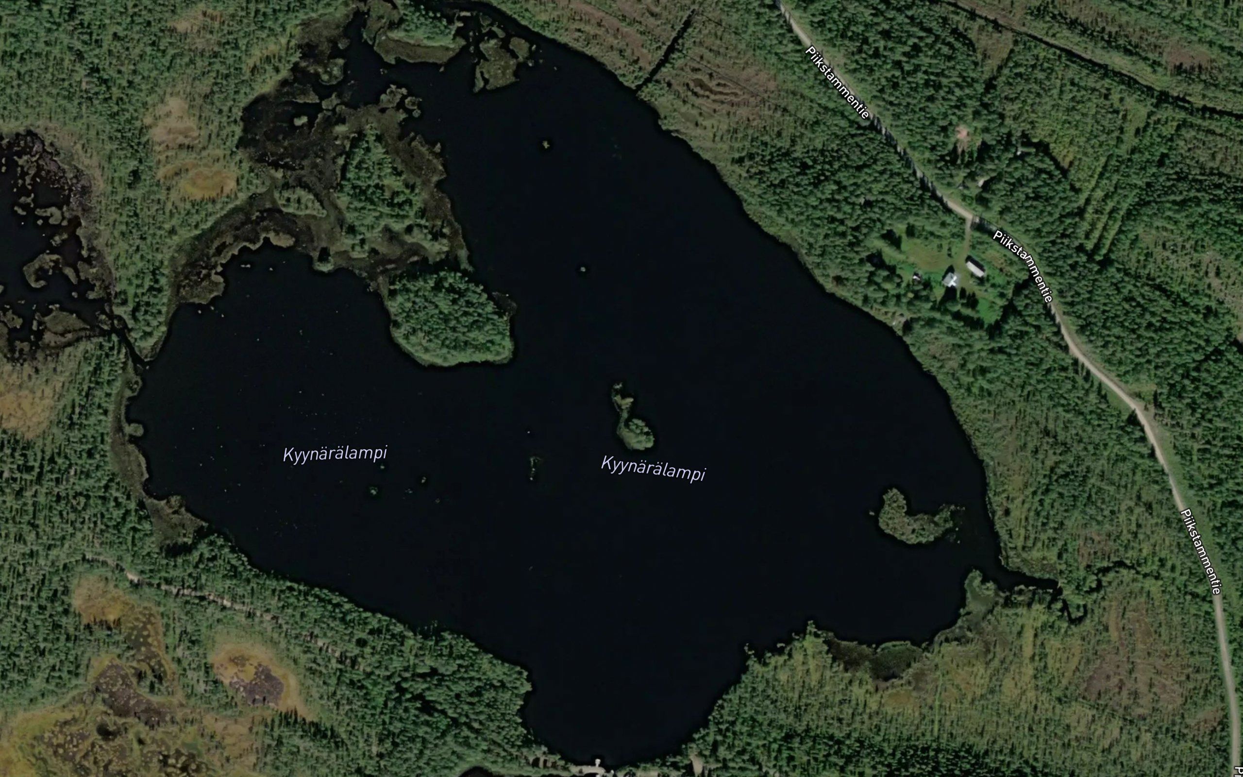 Kyynaralampi