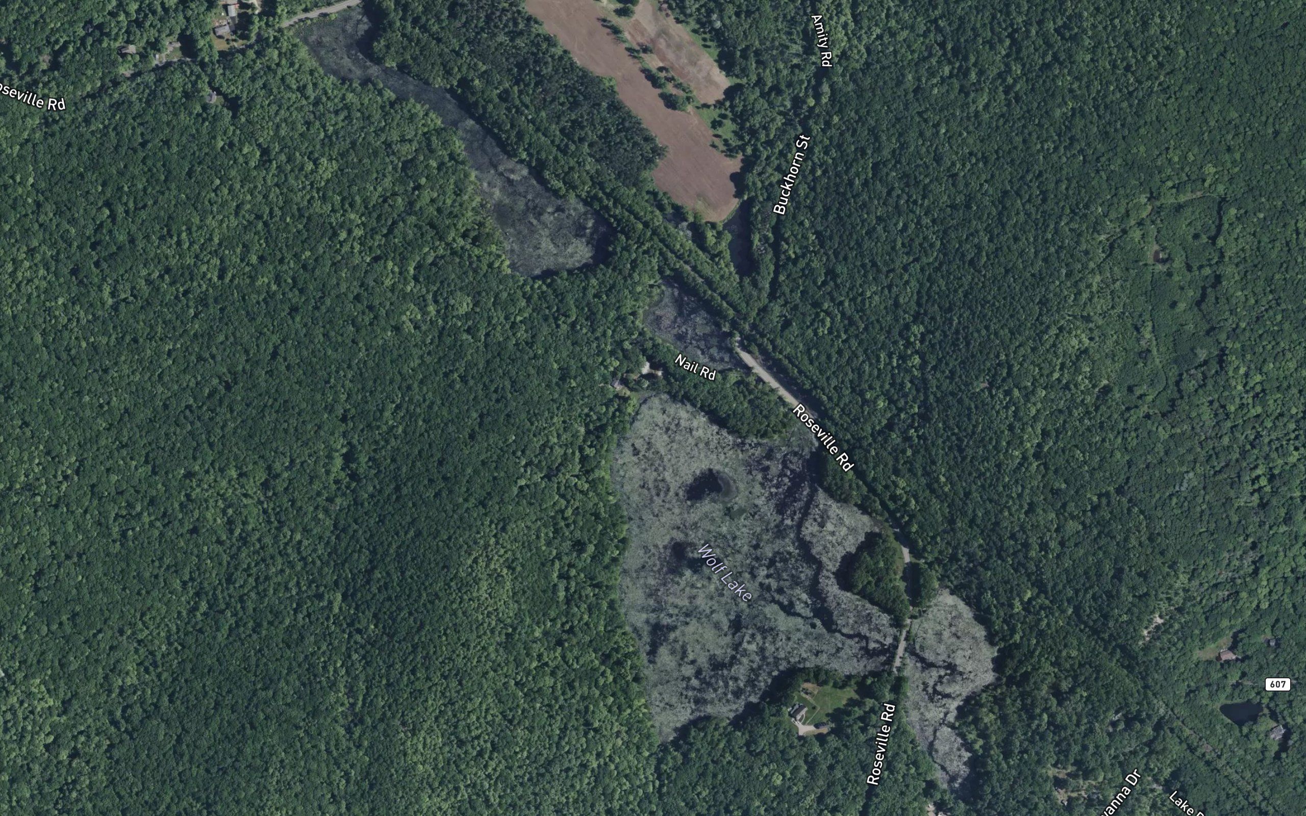 Wolf Lake
