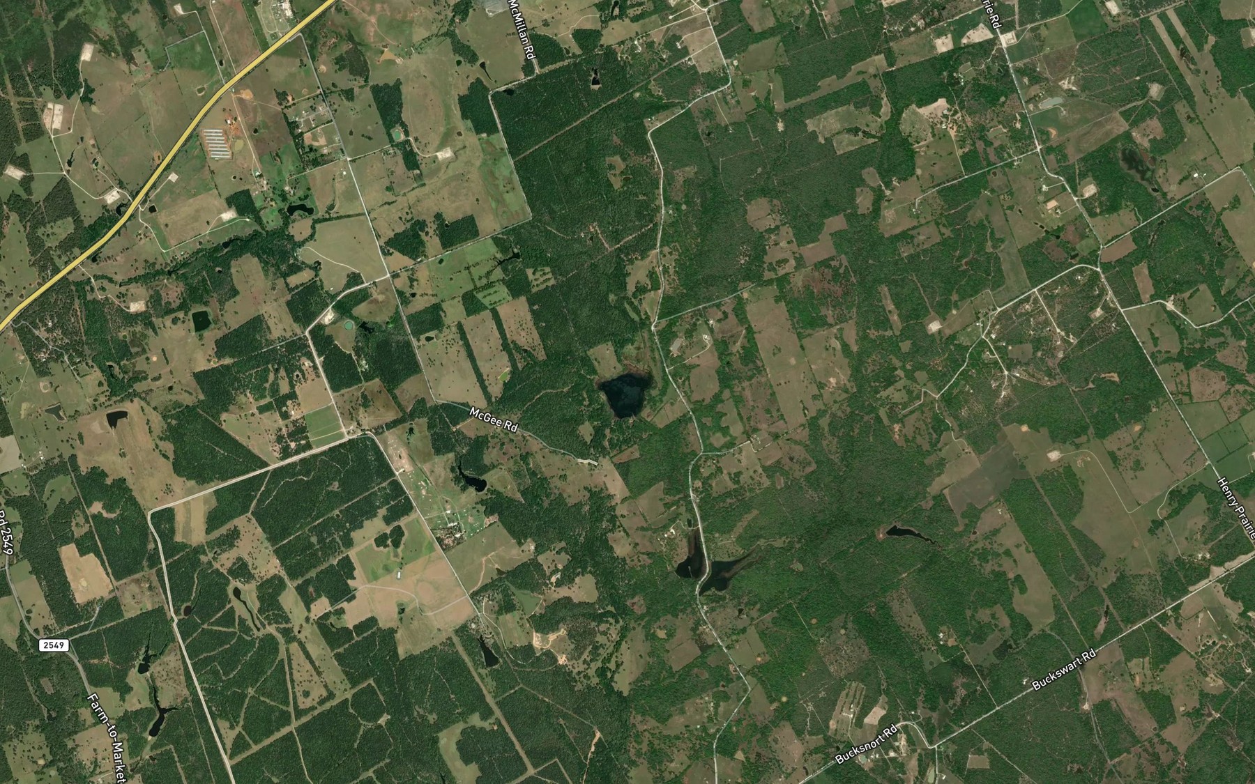 Satellite map of the Duck Pond