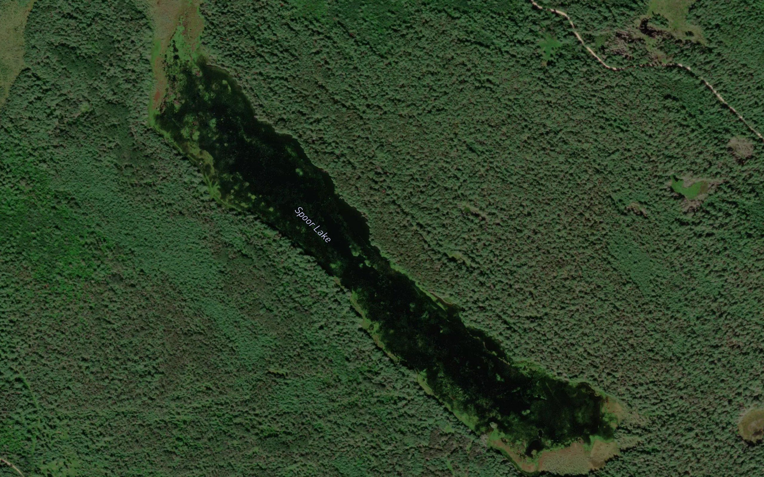 Spoor Creek