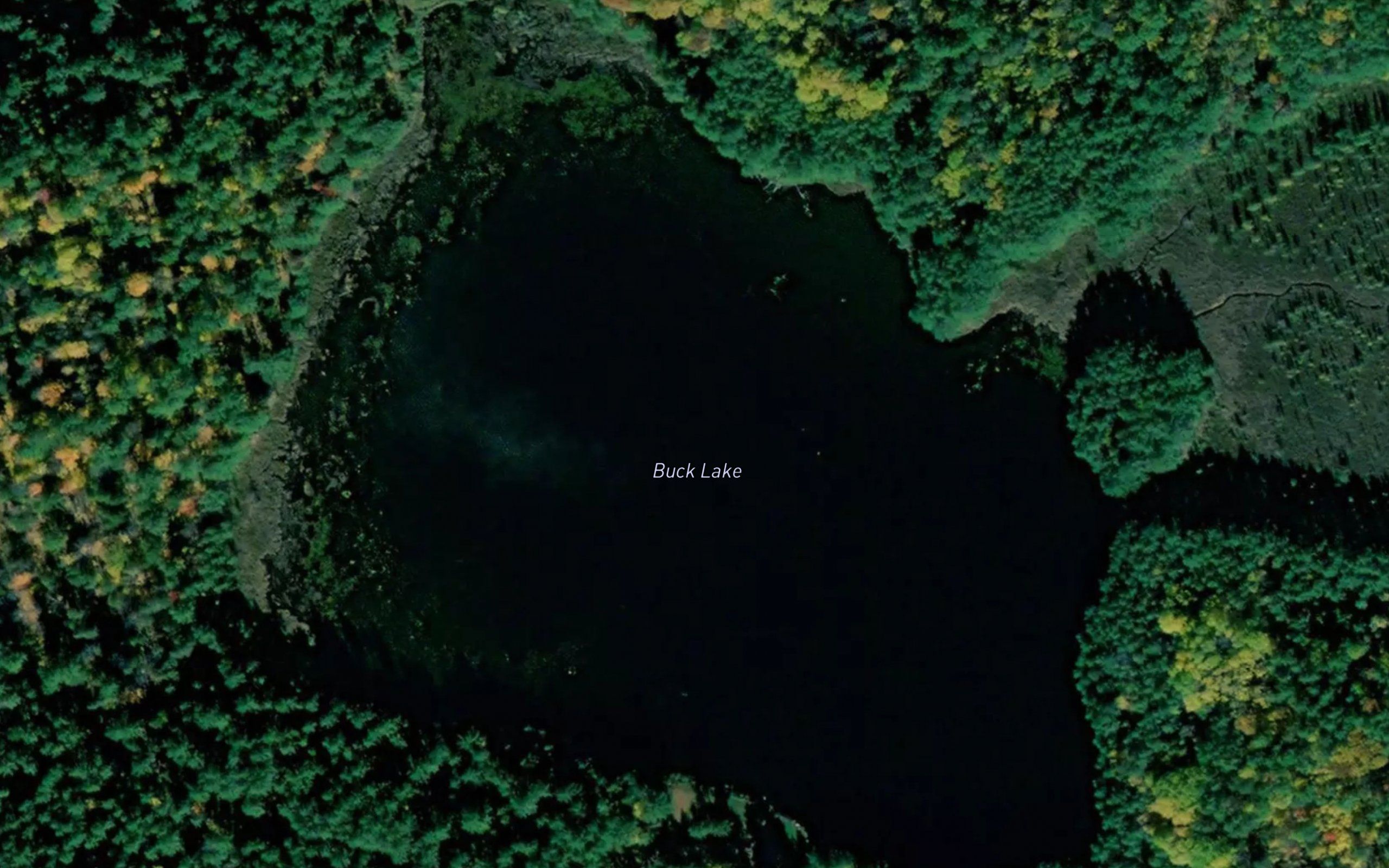 Buck Lake