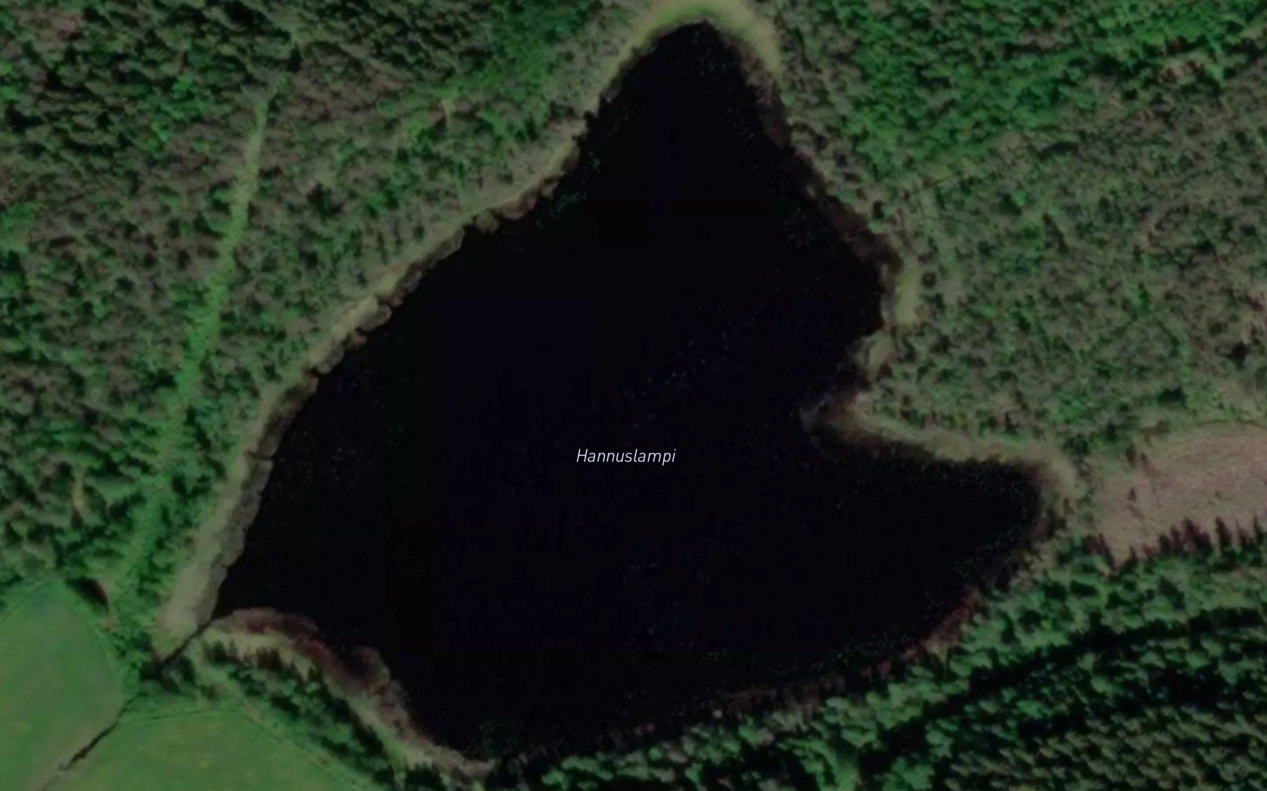 Hannuslampi