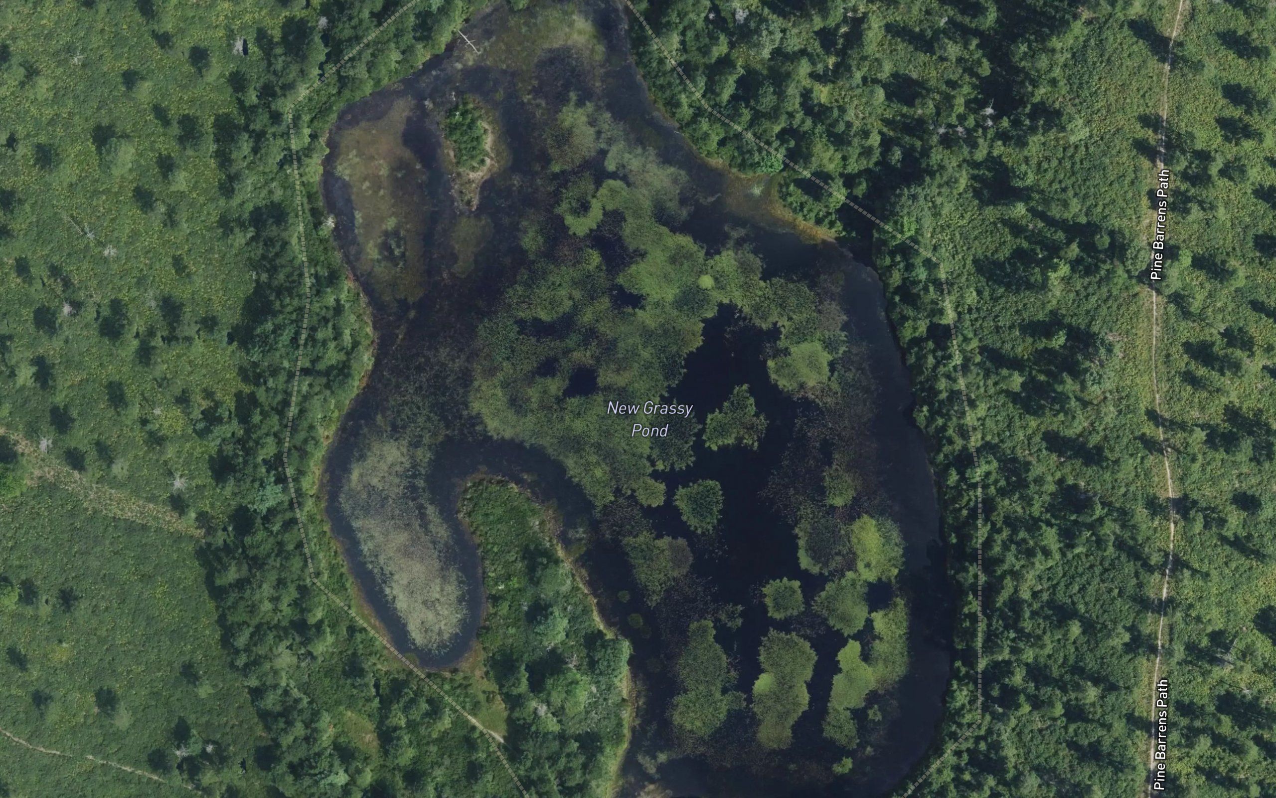 New Grassy Pond
