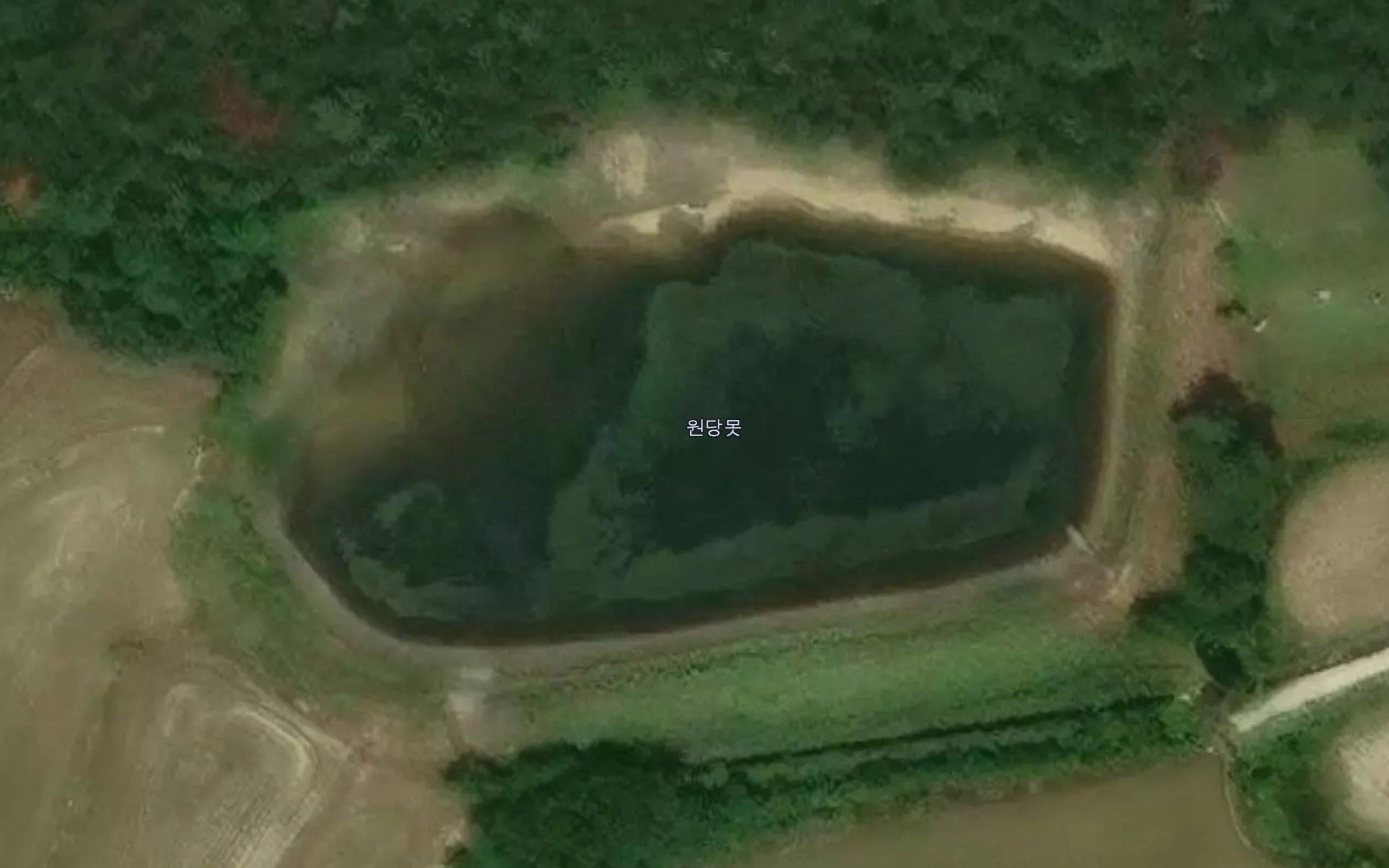 Wondang-mot