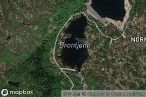 Brontjonn