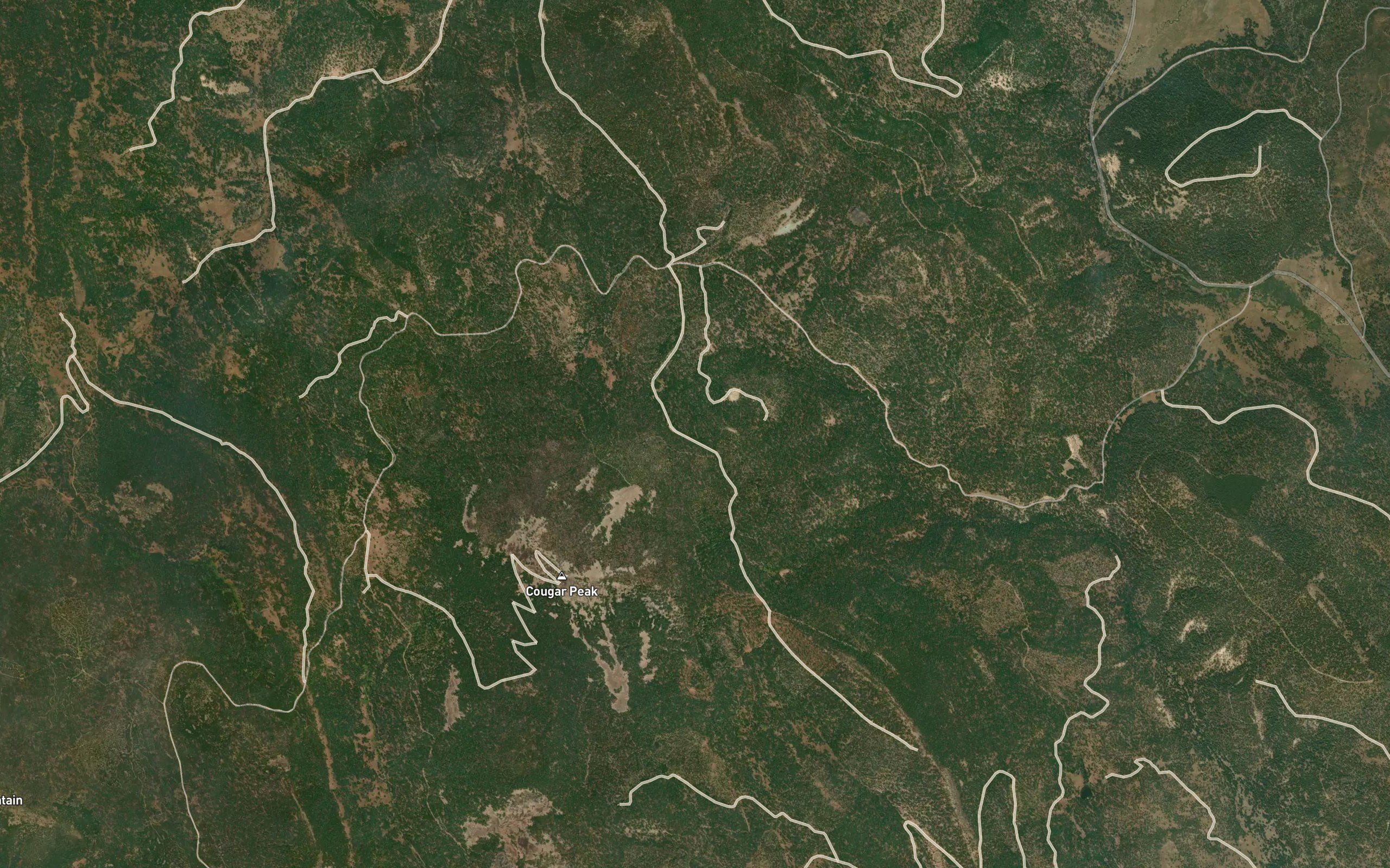 Cougar Springs