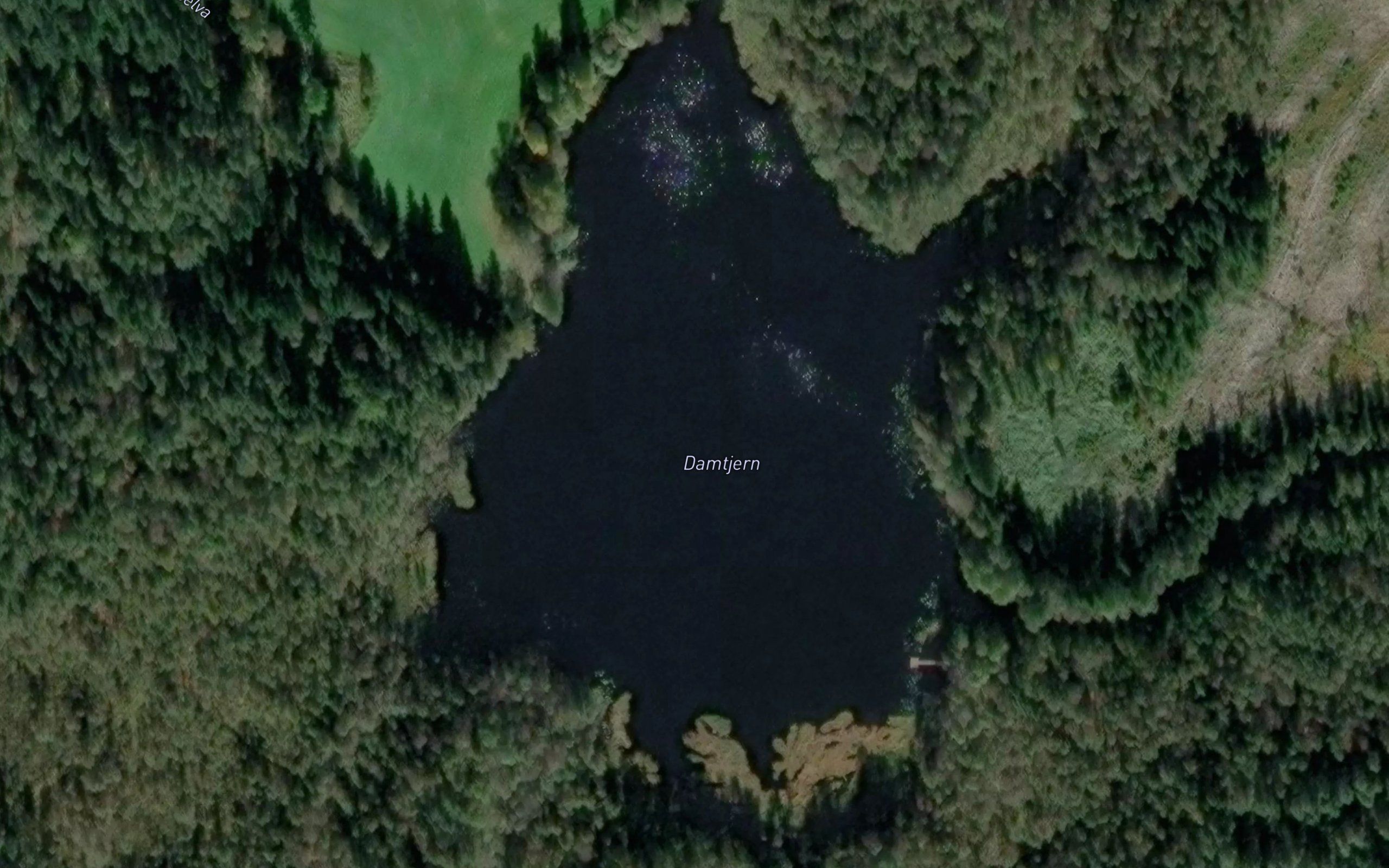 Damtjern