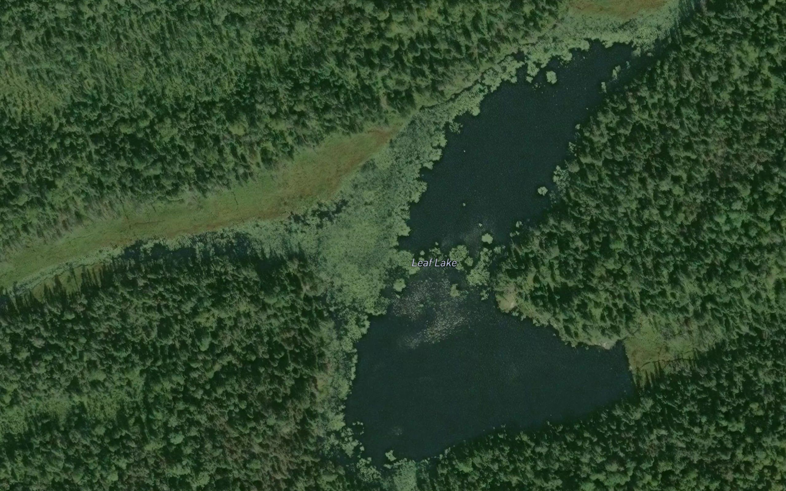 Leaf Lake