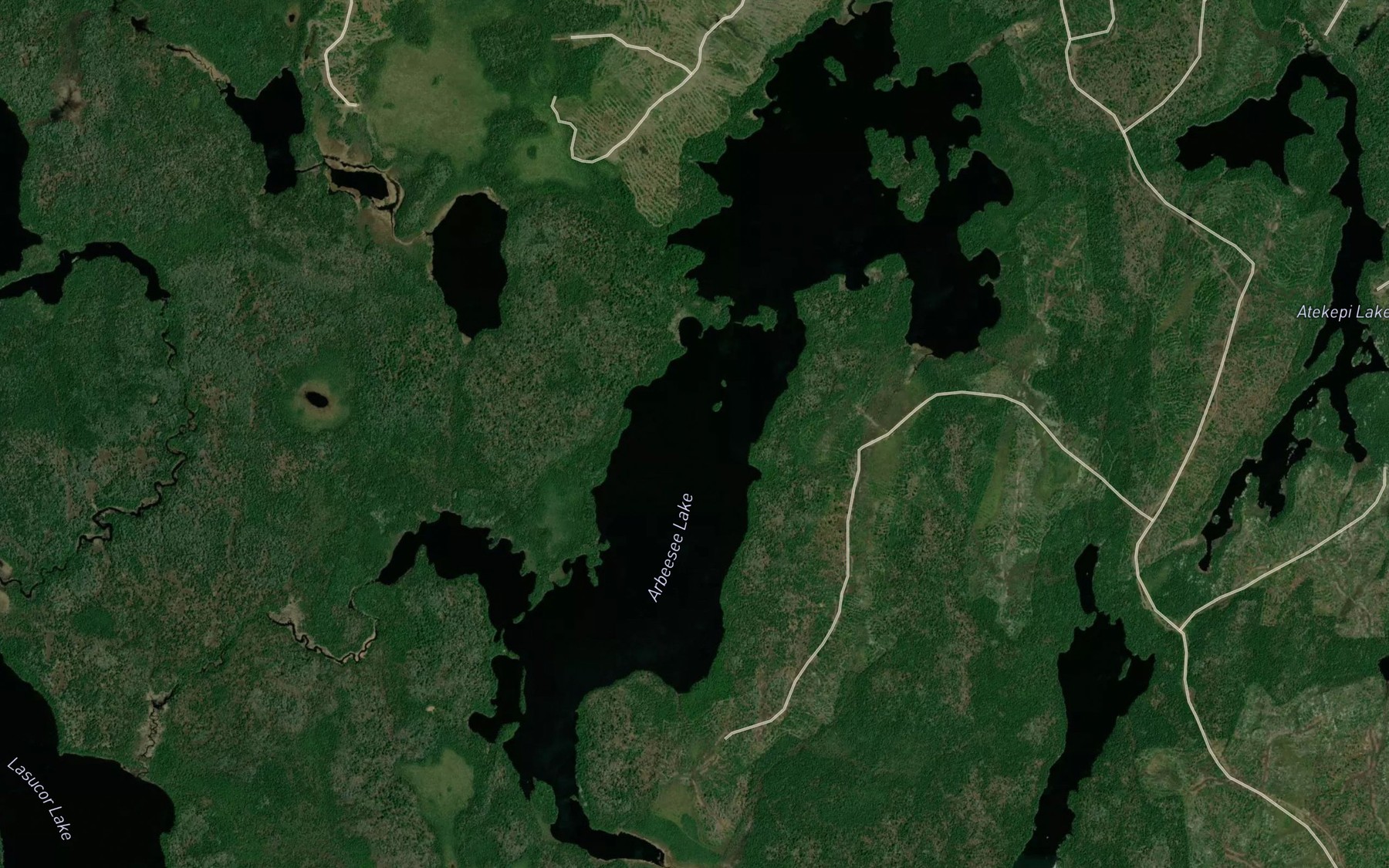 Satellite map of the Arbeesee Lake