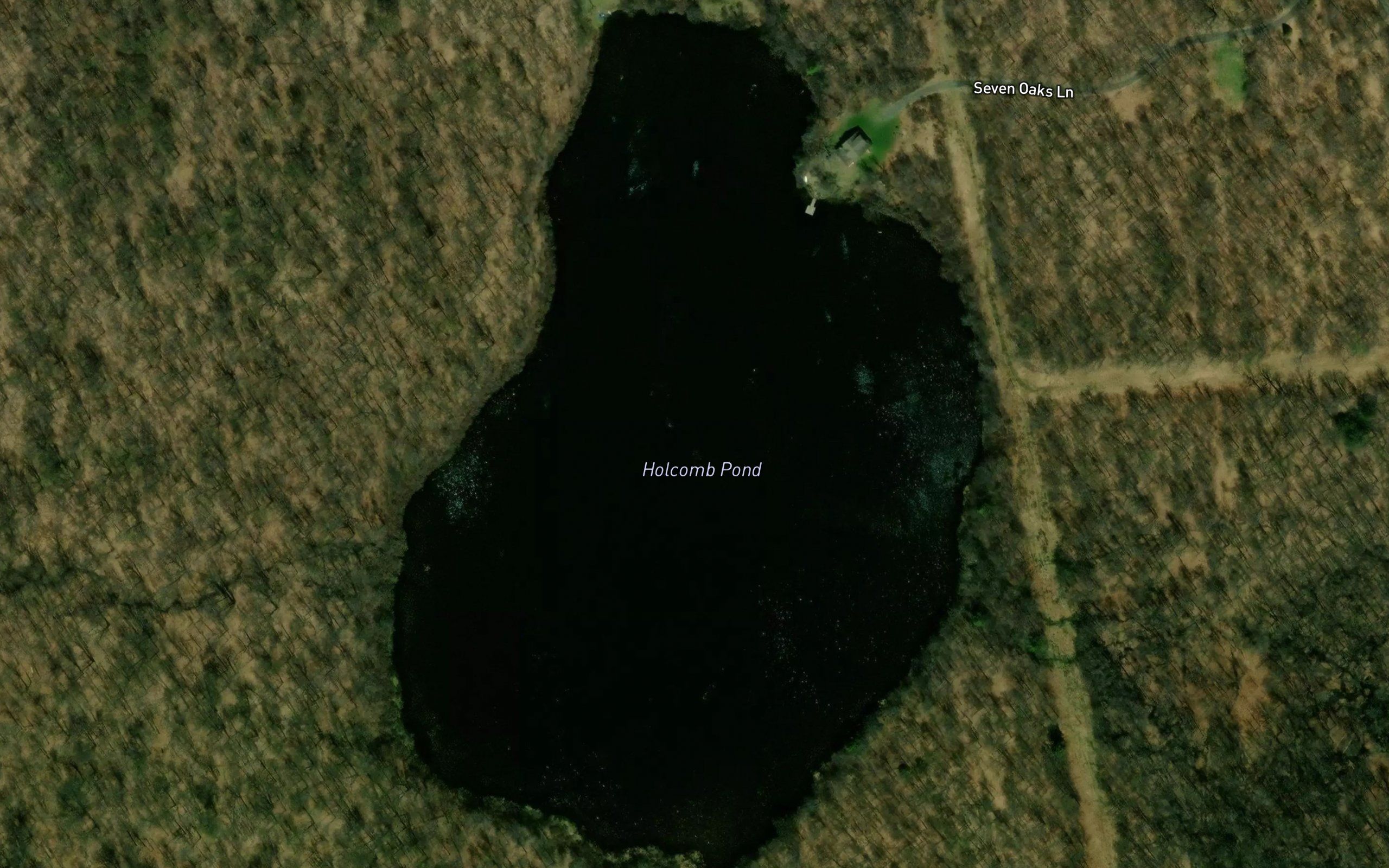 Holcomb Pond