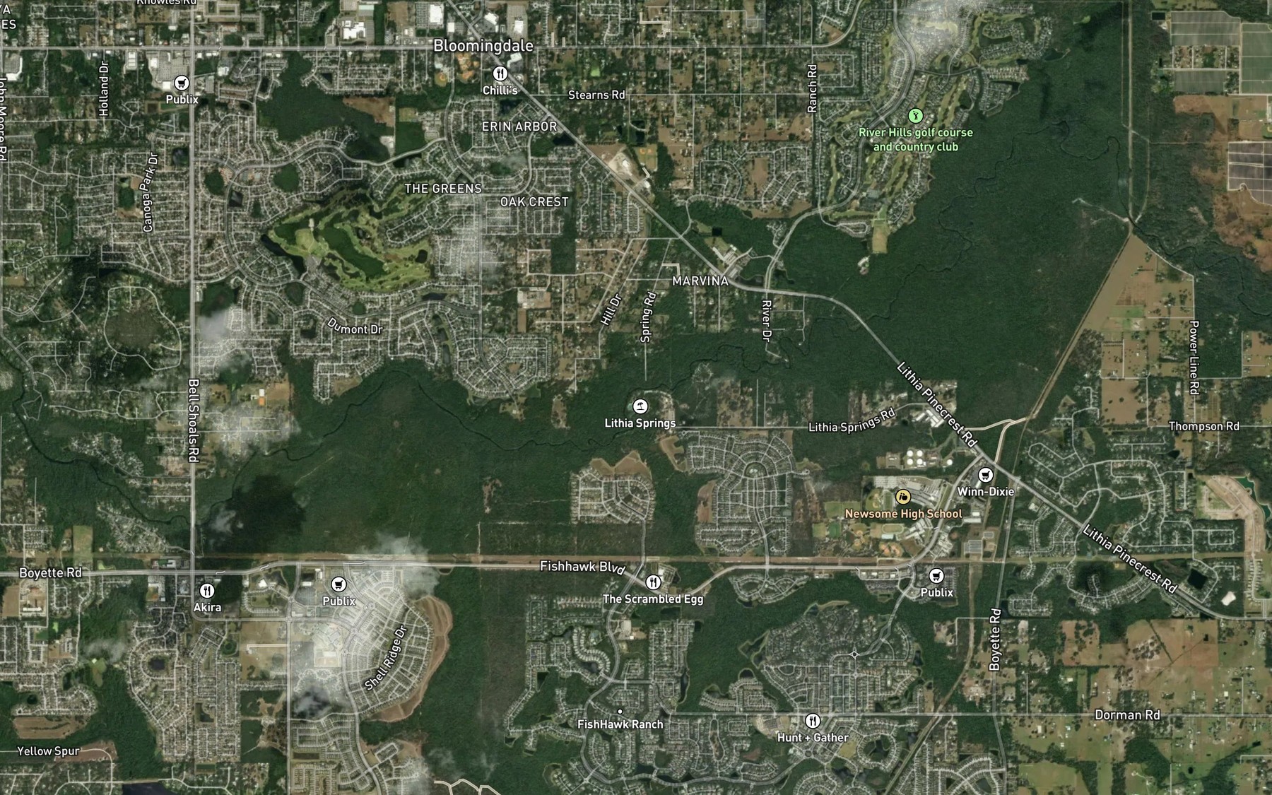 Satellite map of the Lithia Springs