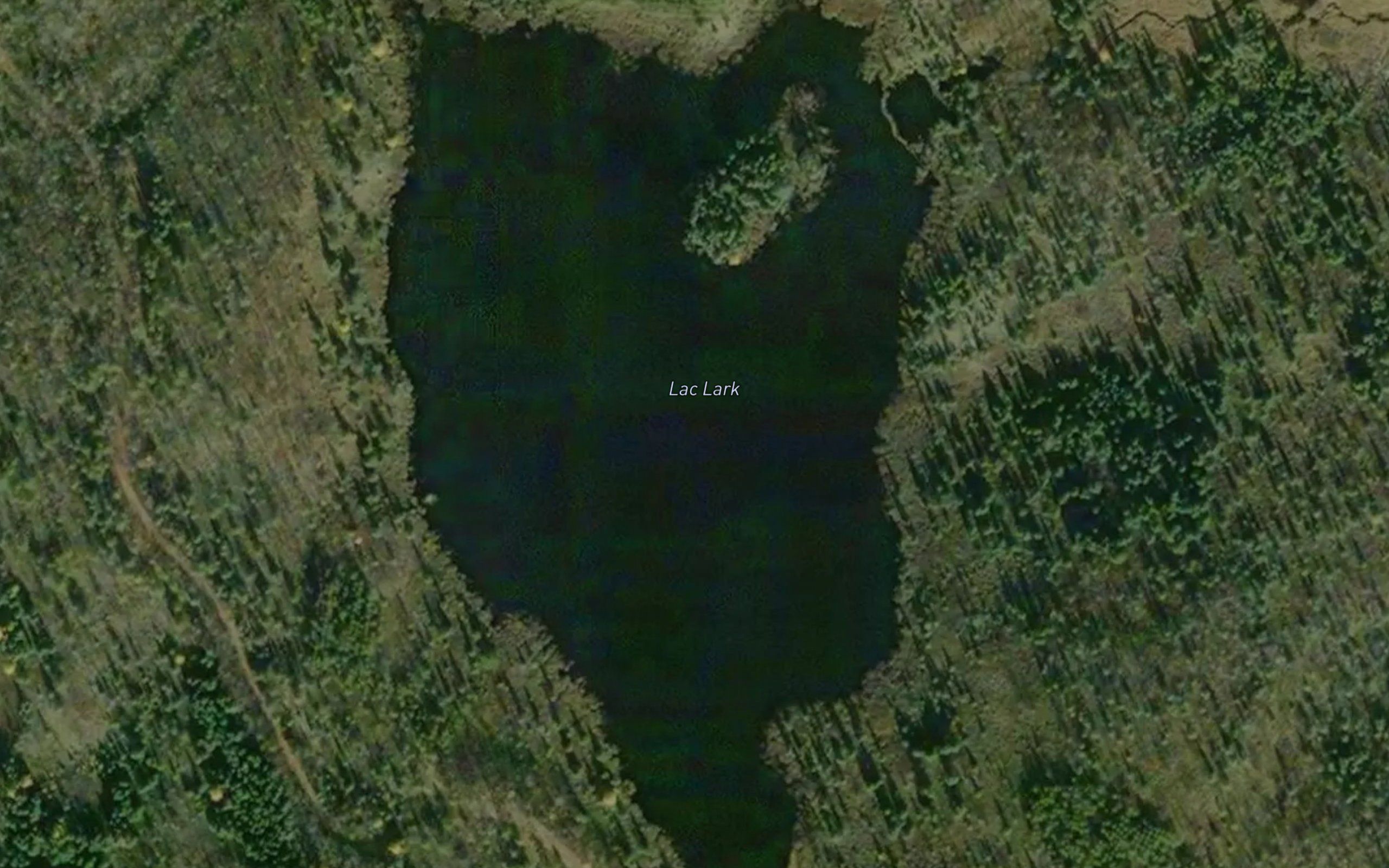 Lac Lark