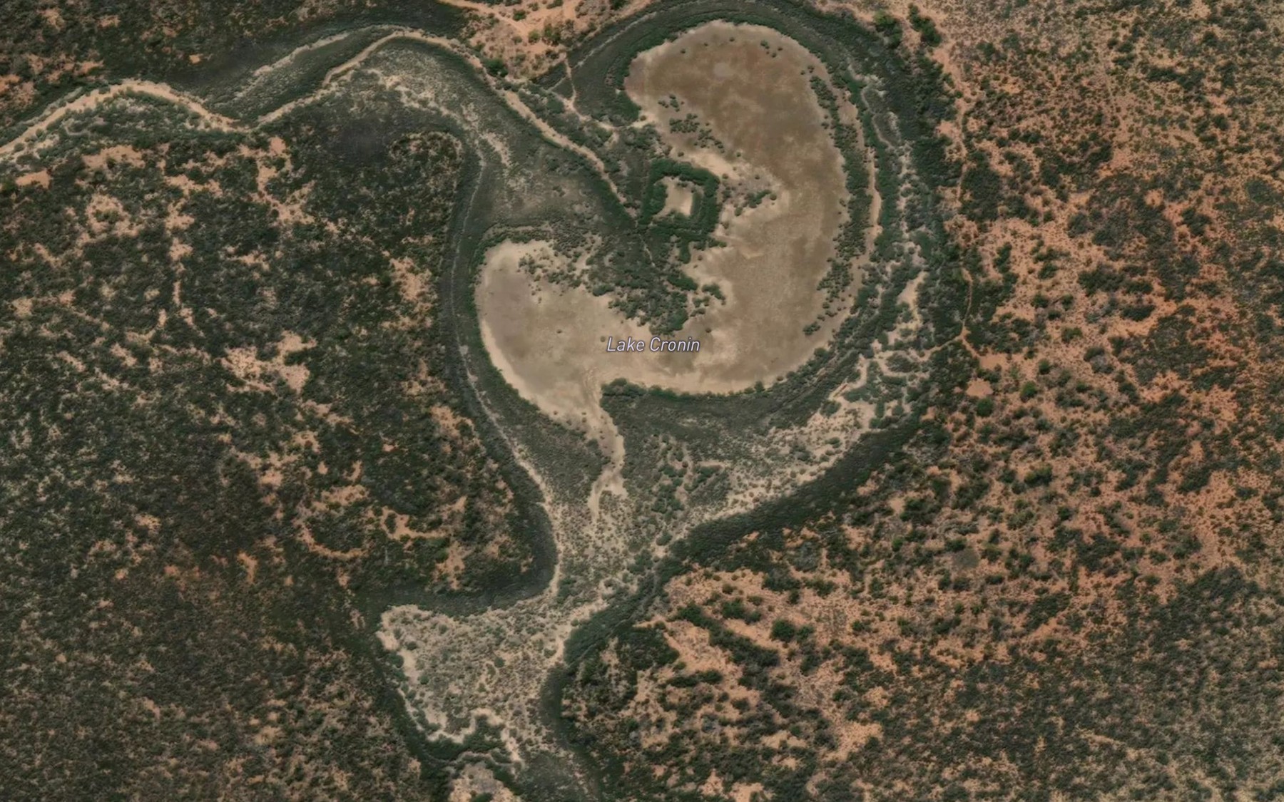 Satellite map of the Lake Cronin