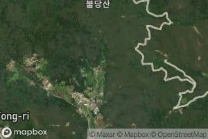 Yongdong-mot