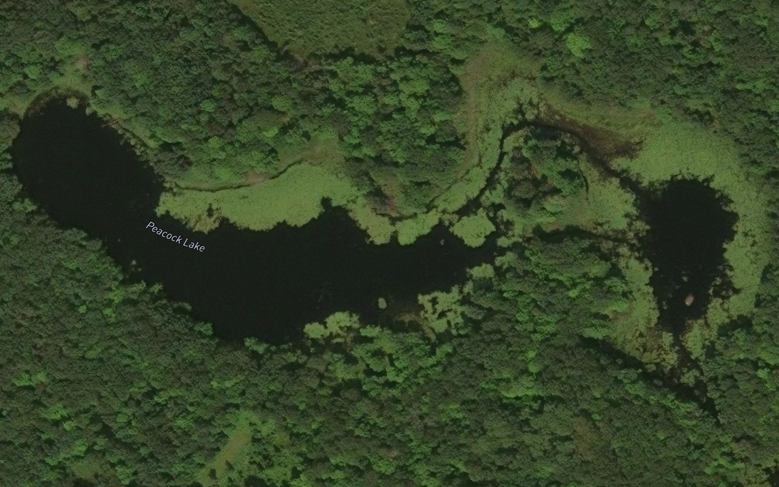 Peacock Lake
