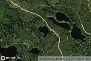 Heinalammi