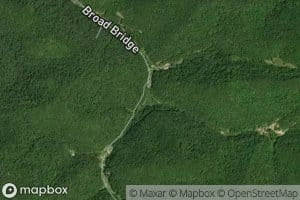 Left Fork Broad Branch