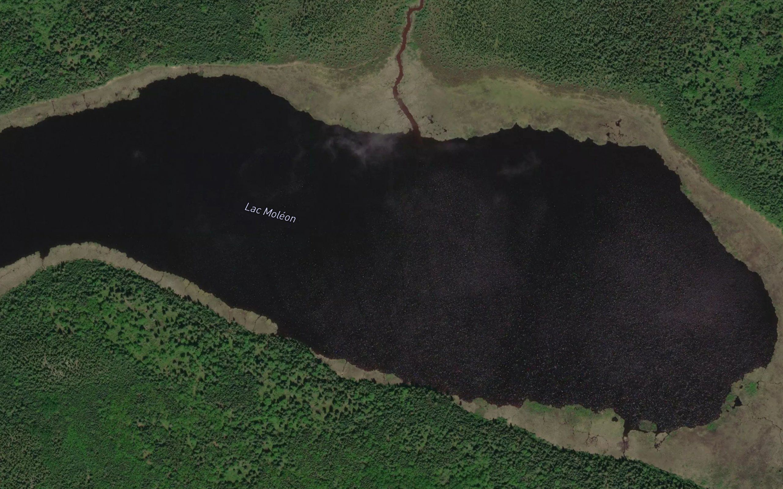Lac Moleon