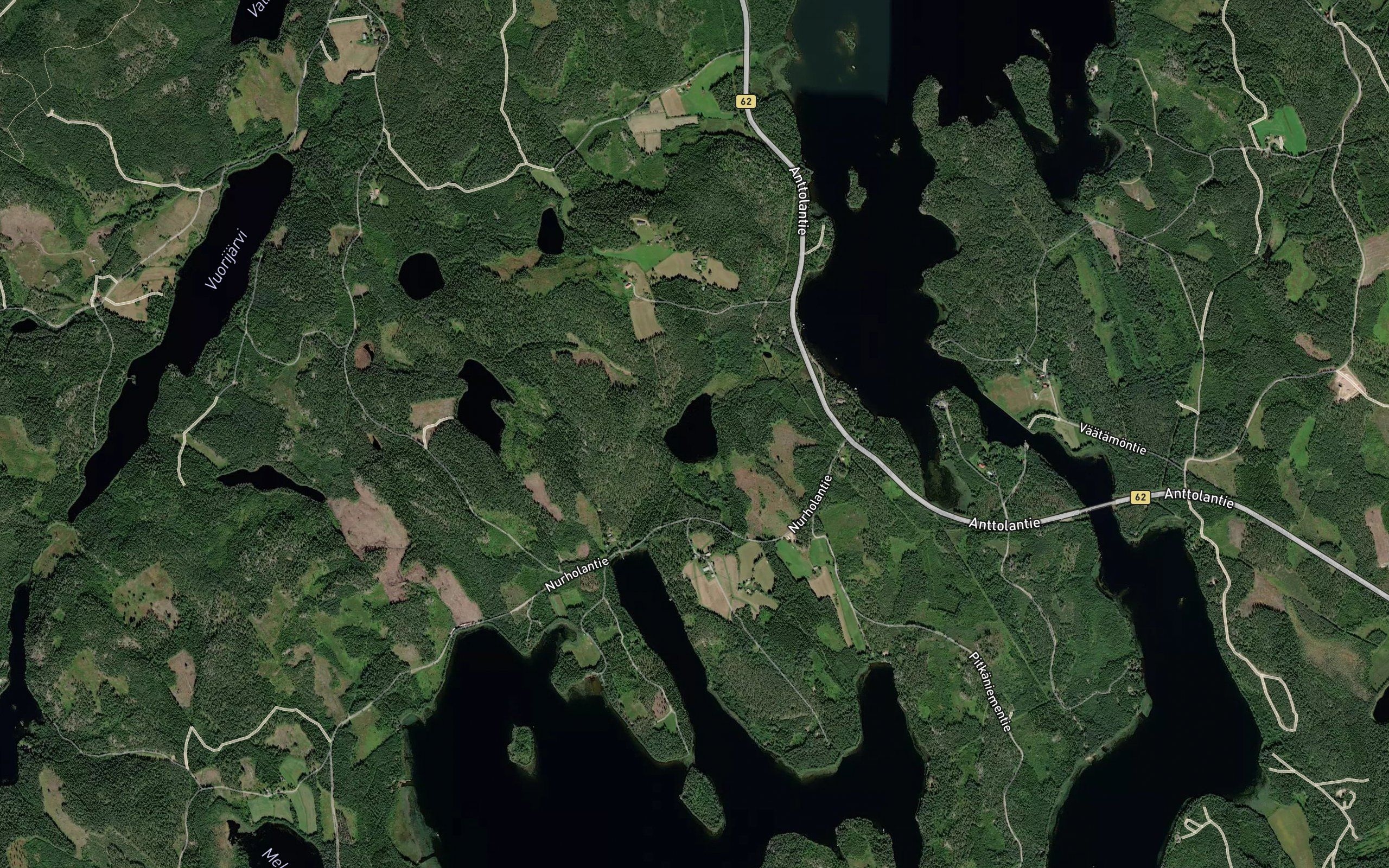 Lehmilampi