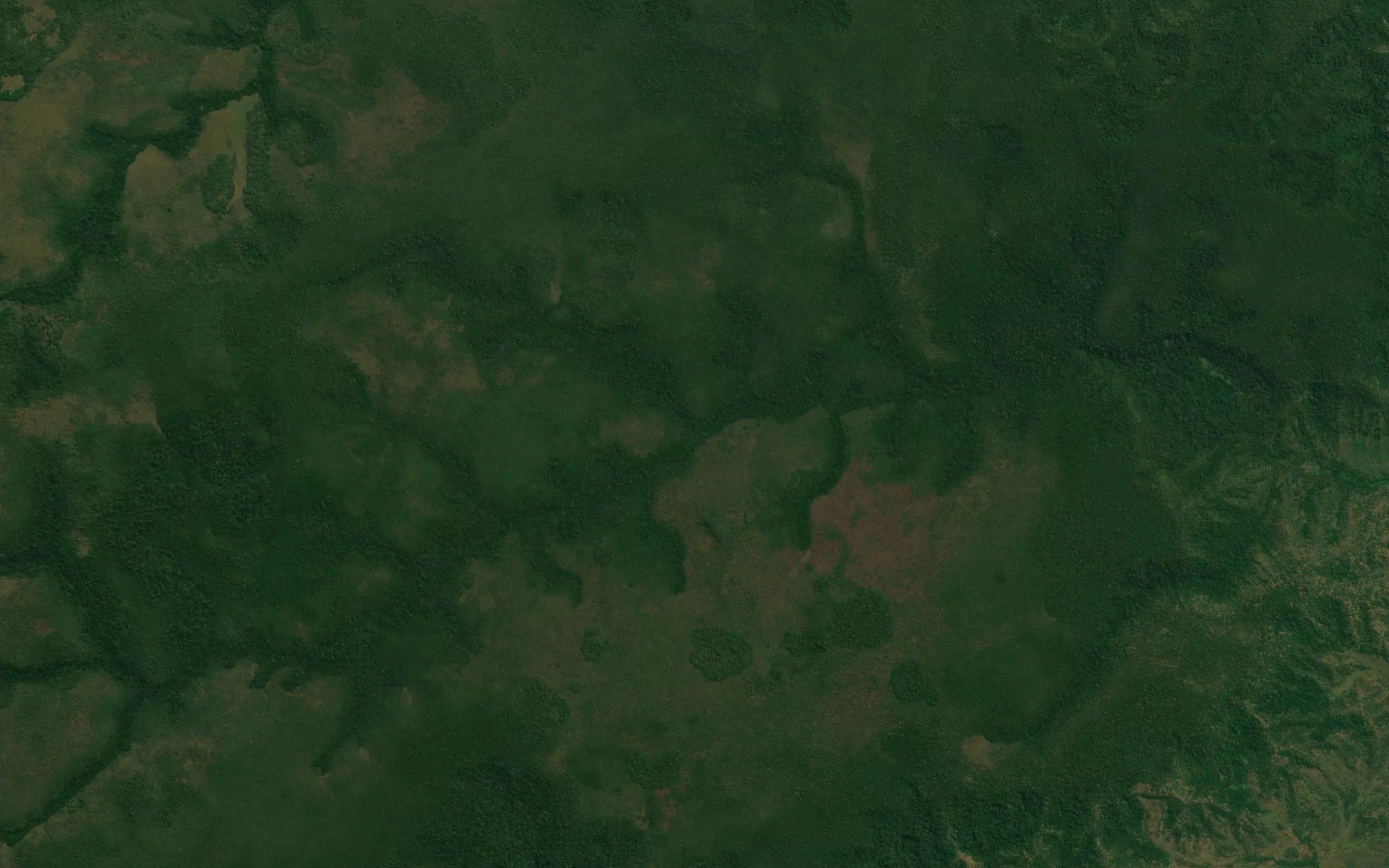 Mutuanzamba