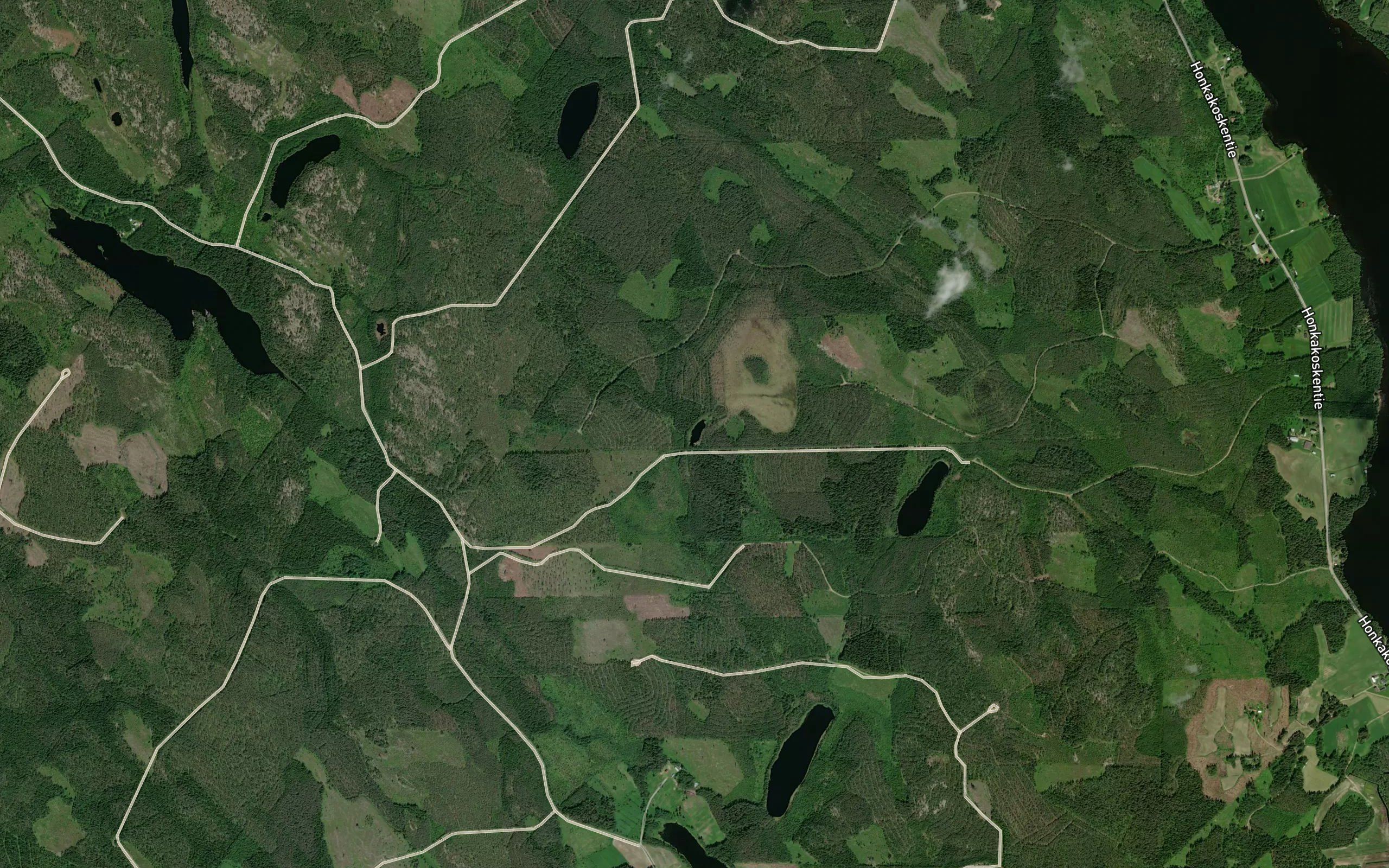 Saarisuonlampi