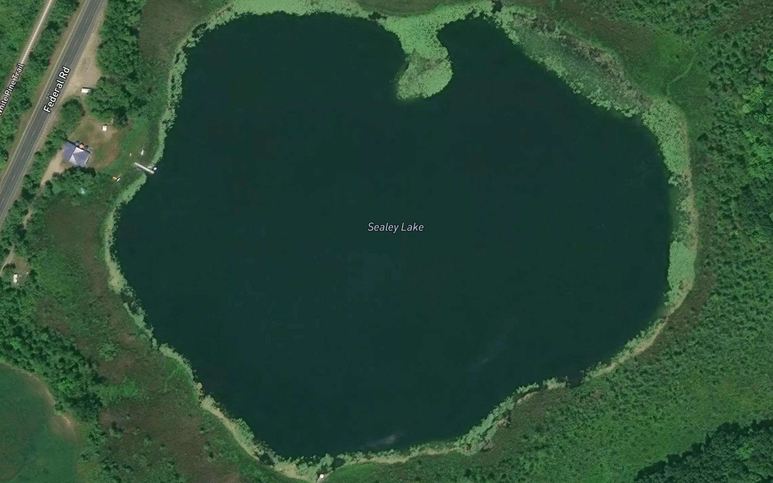 Sealey Lake