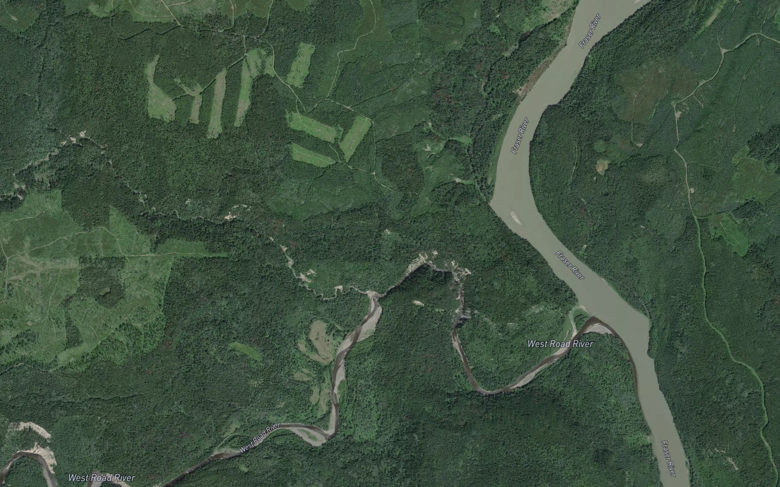 Tako Creek