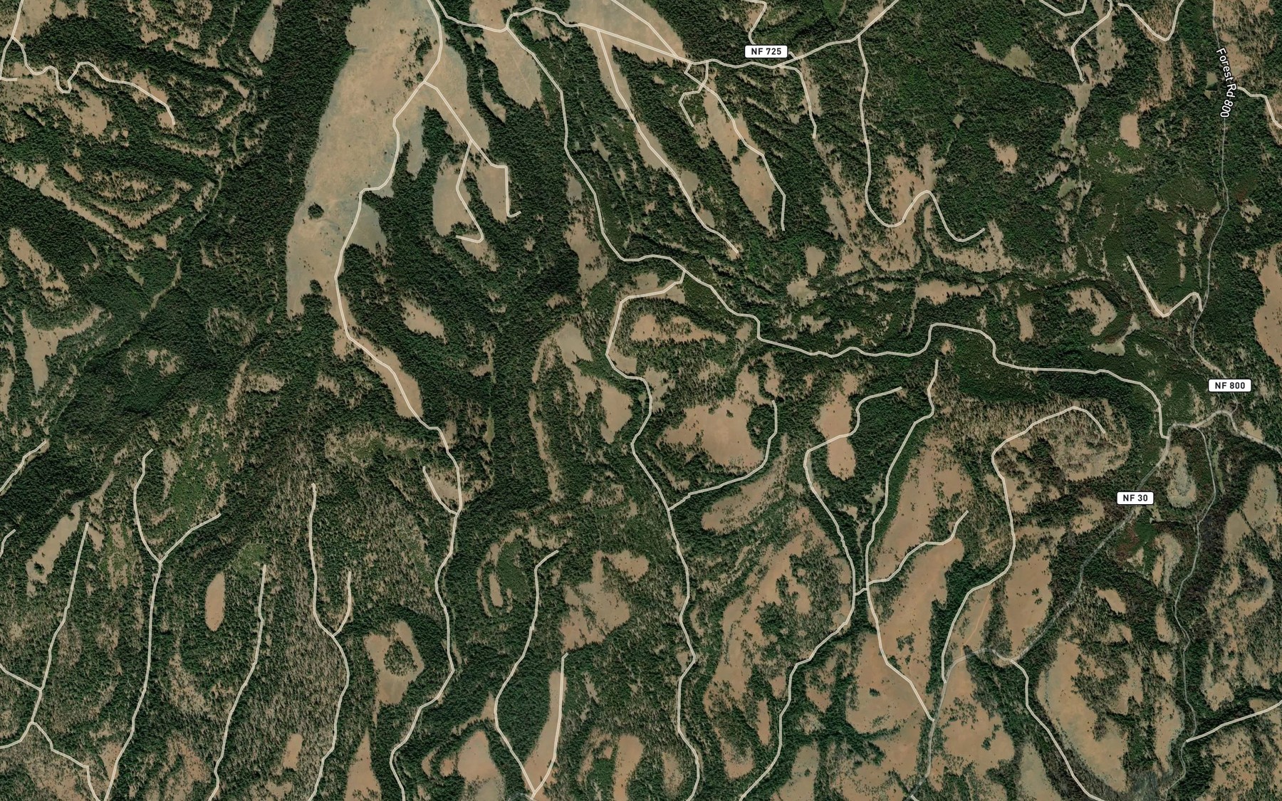 Satellite map of the Crazy Spring