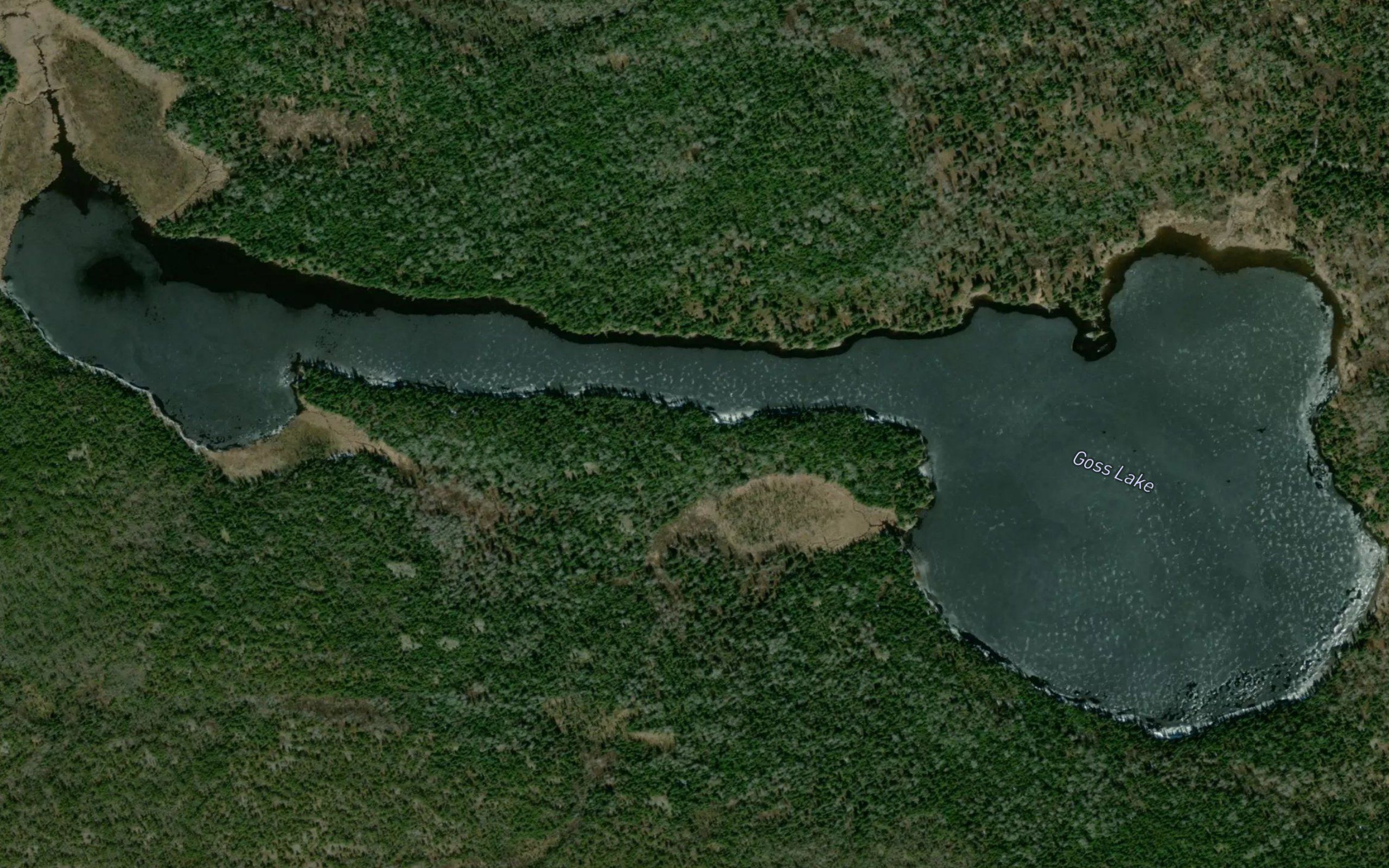 Goss Lake