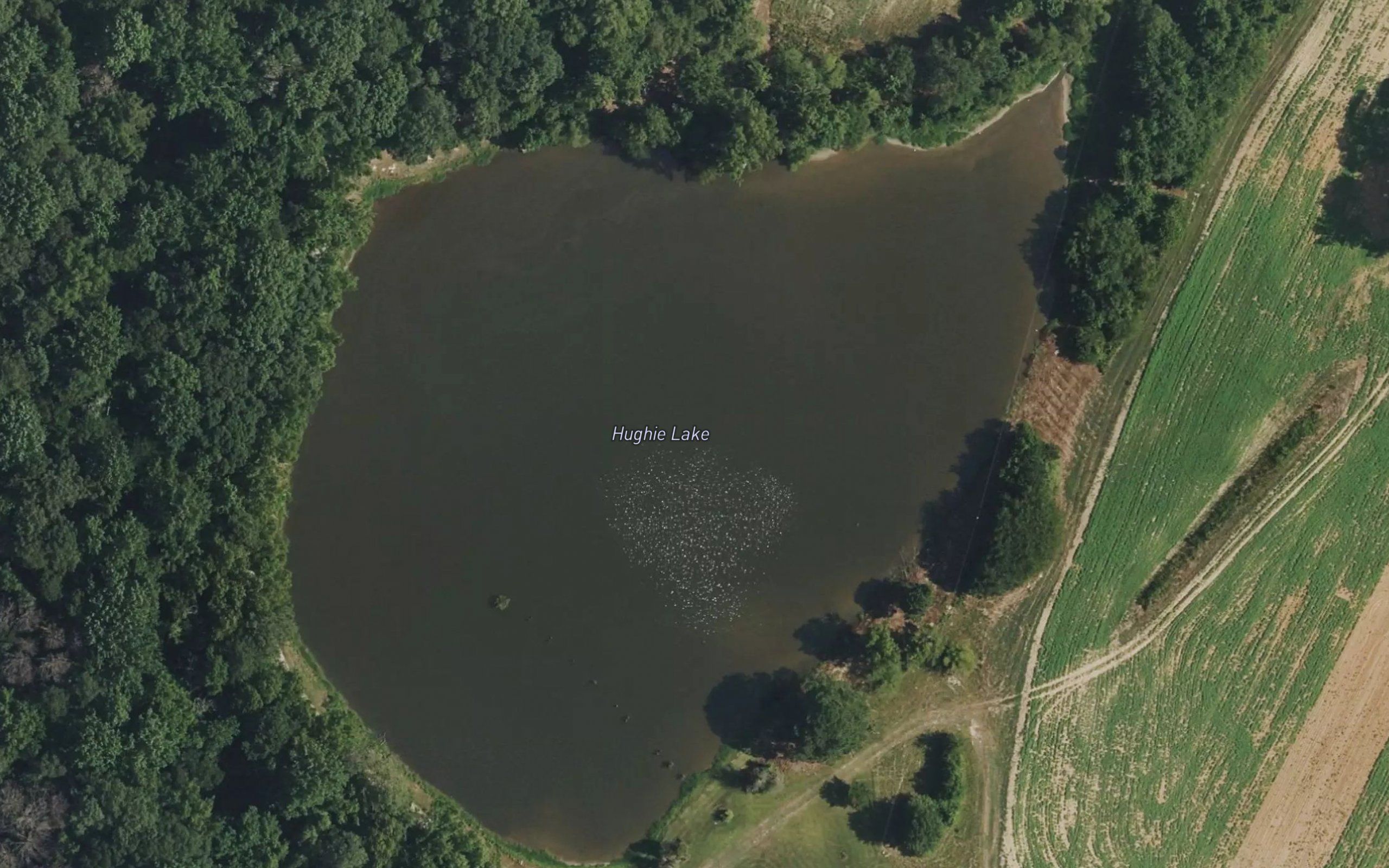 Hughie Lake