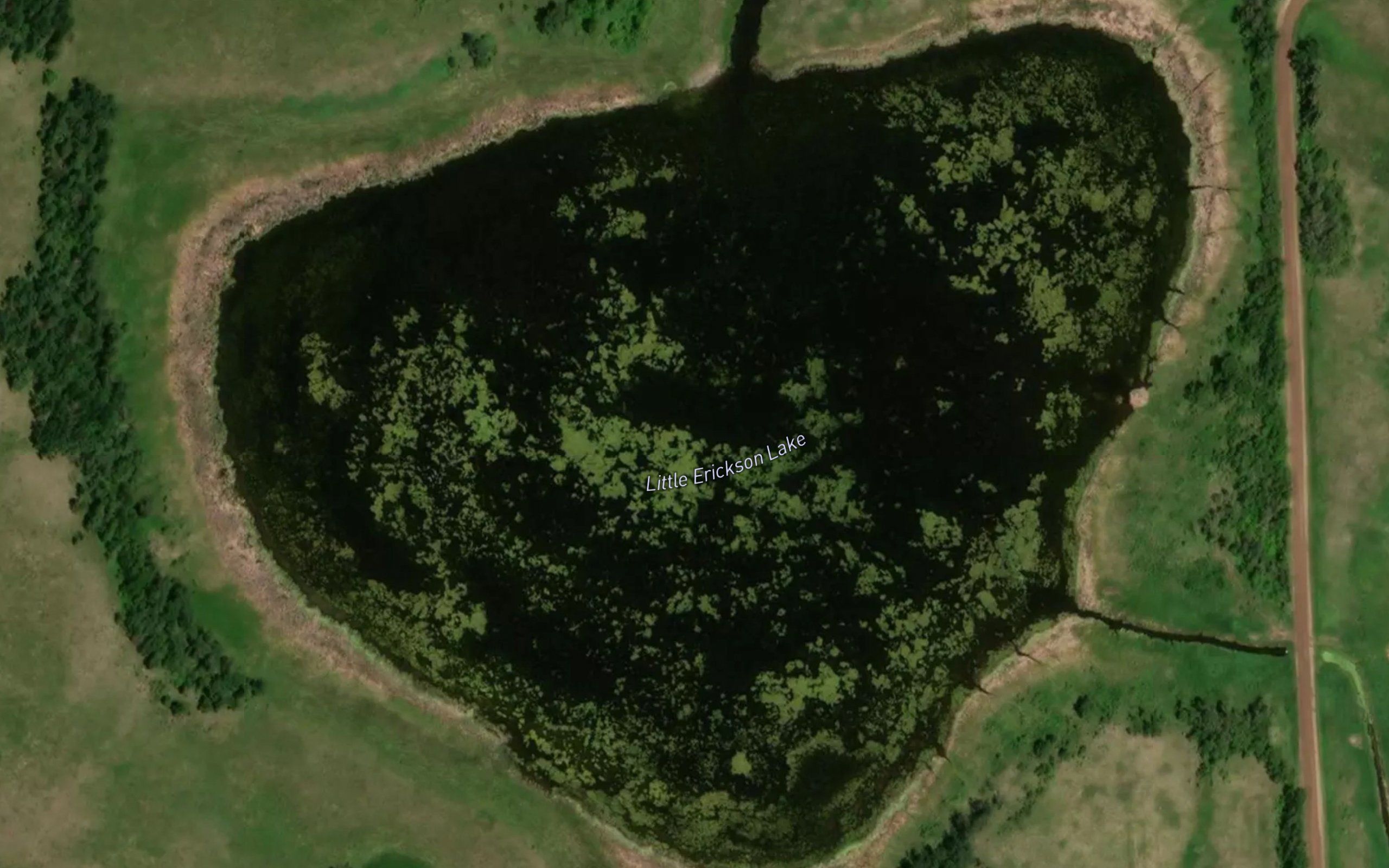 Little Erickson Lake