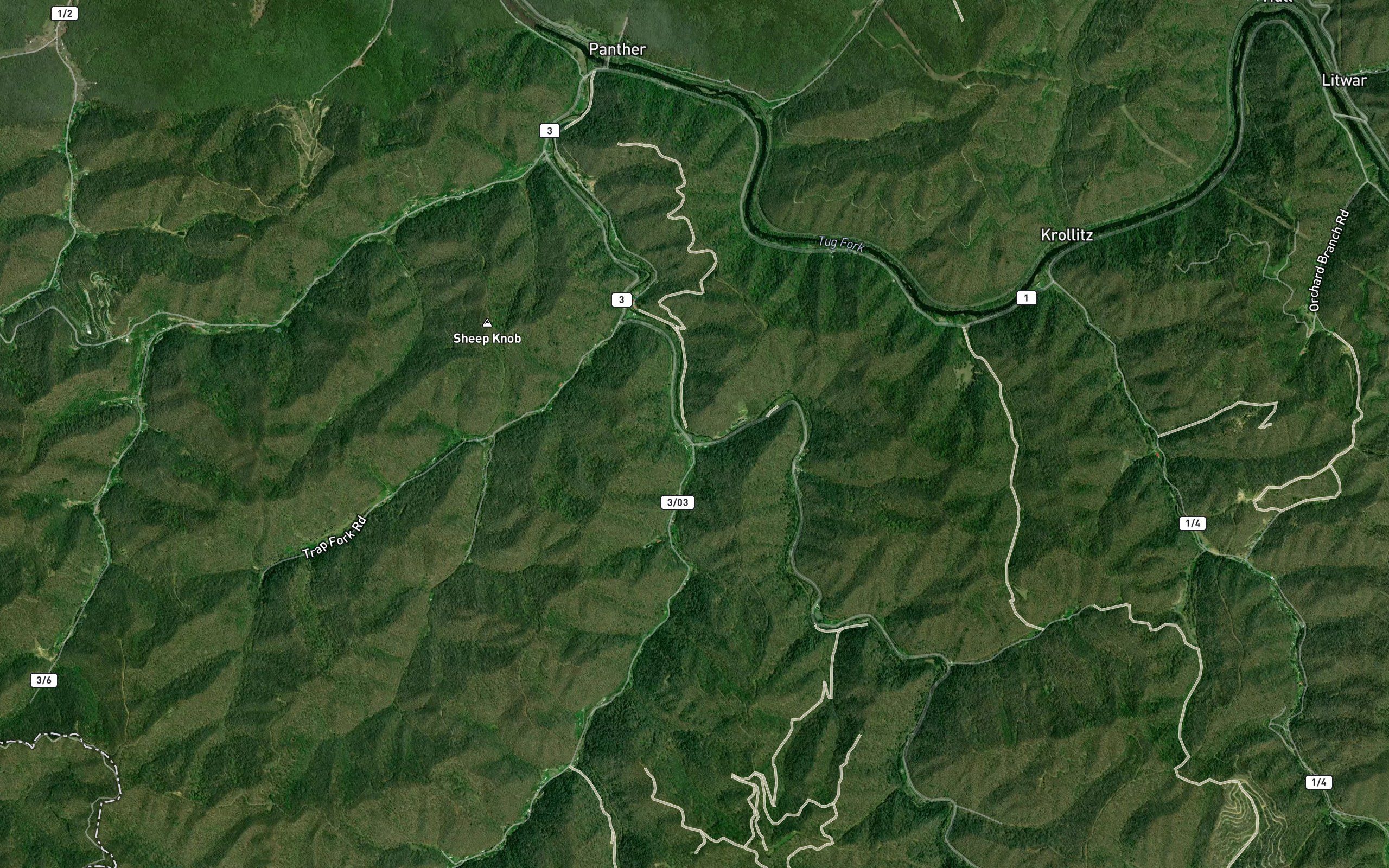 Trace Fork
