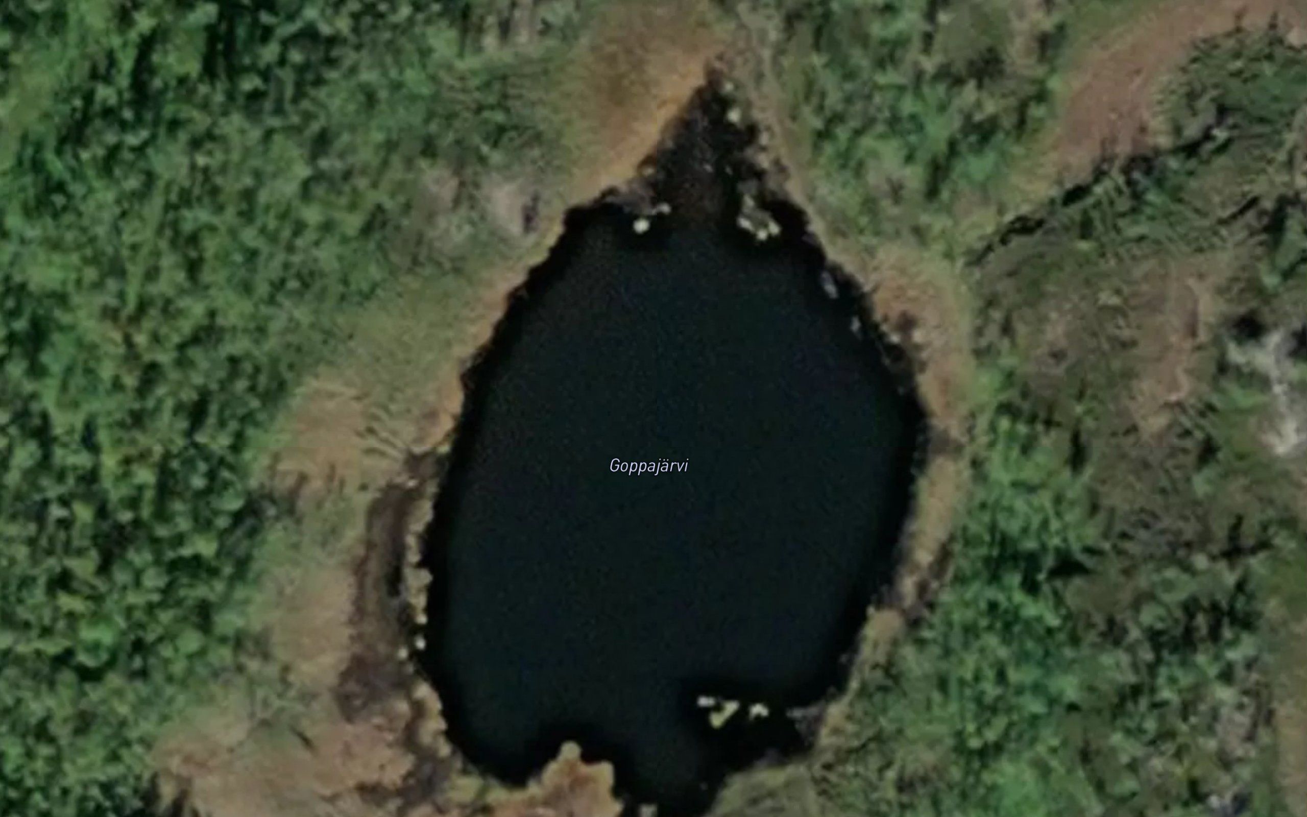 Goppajaervi