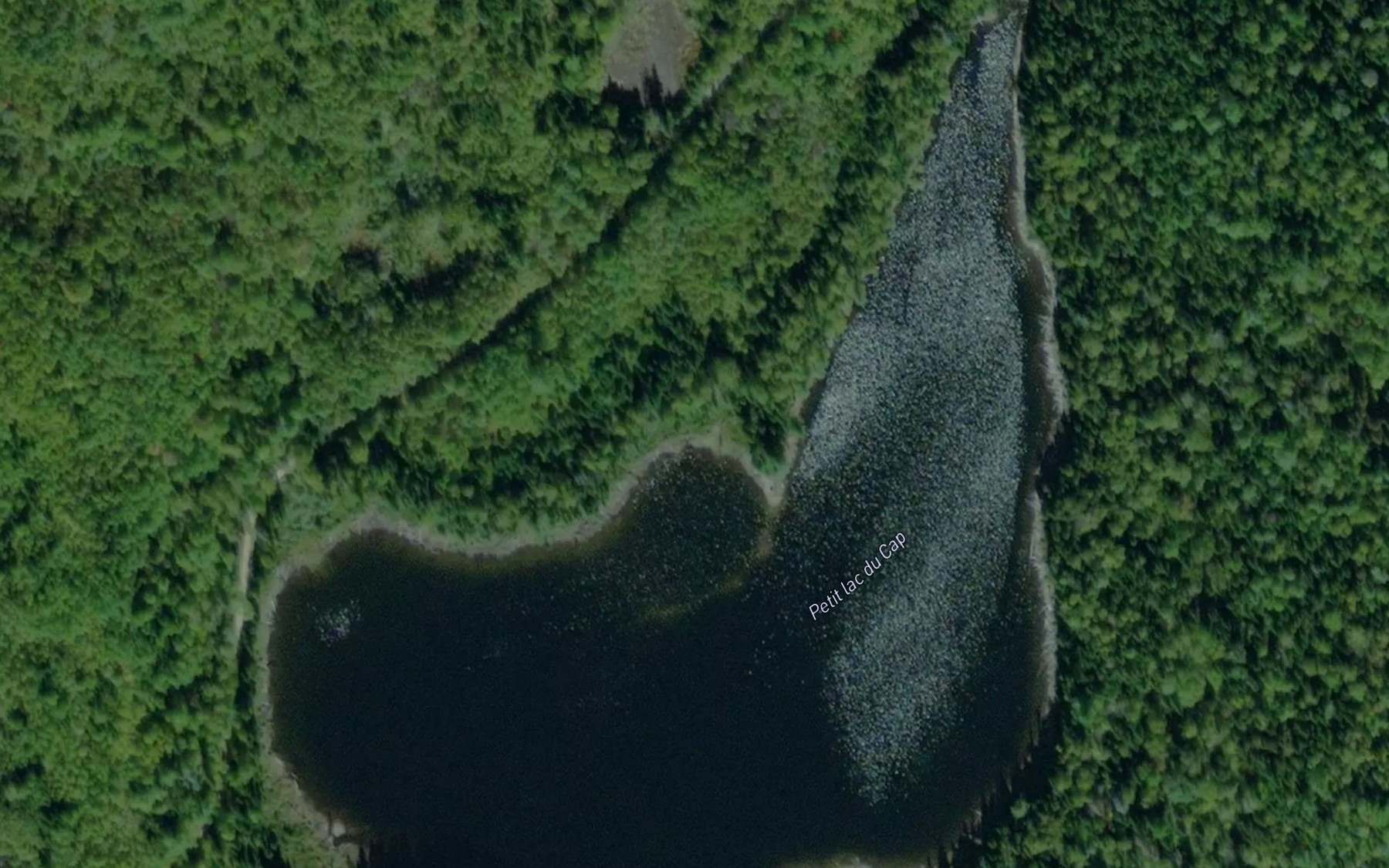 Satellite map of the Petit lac du Cap
