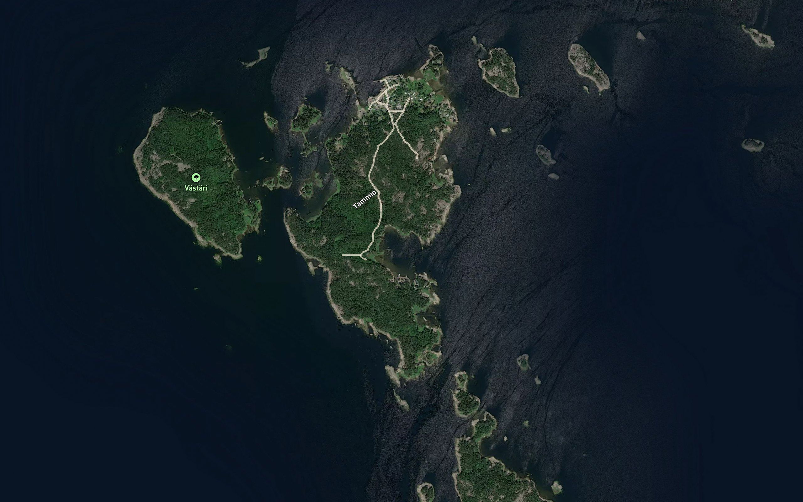 Reiviikki