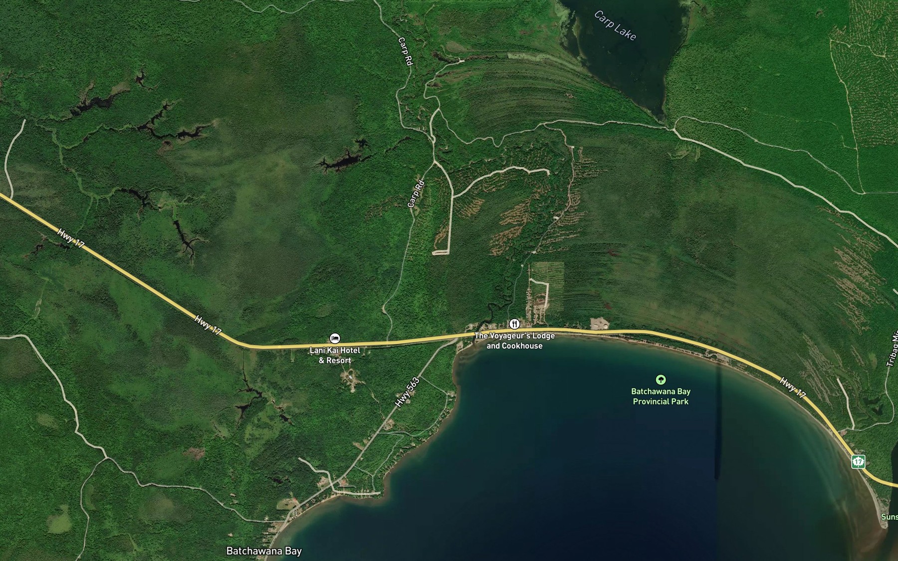 Satellite map of the Carp River