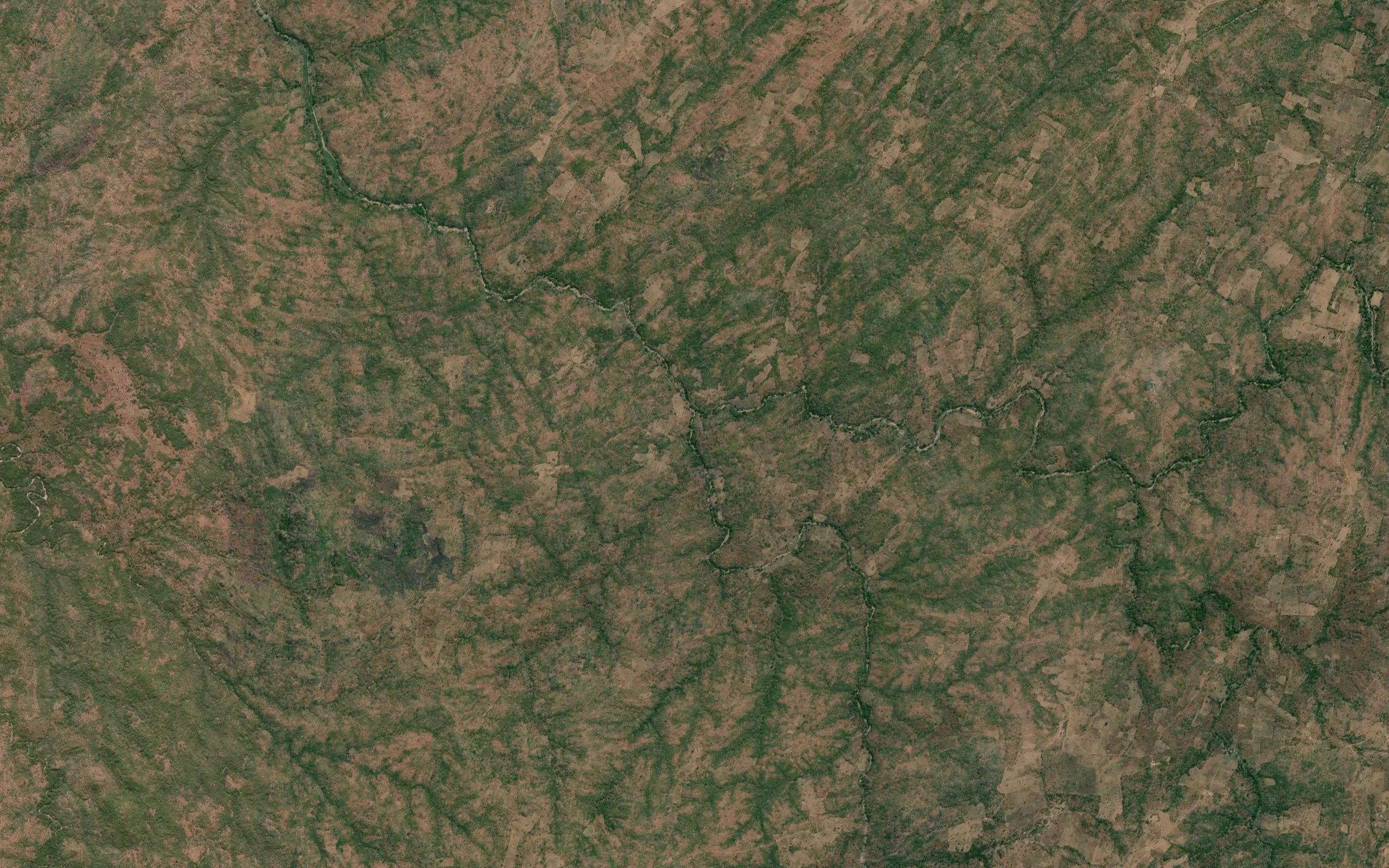 Lusangashi