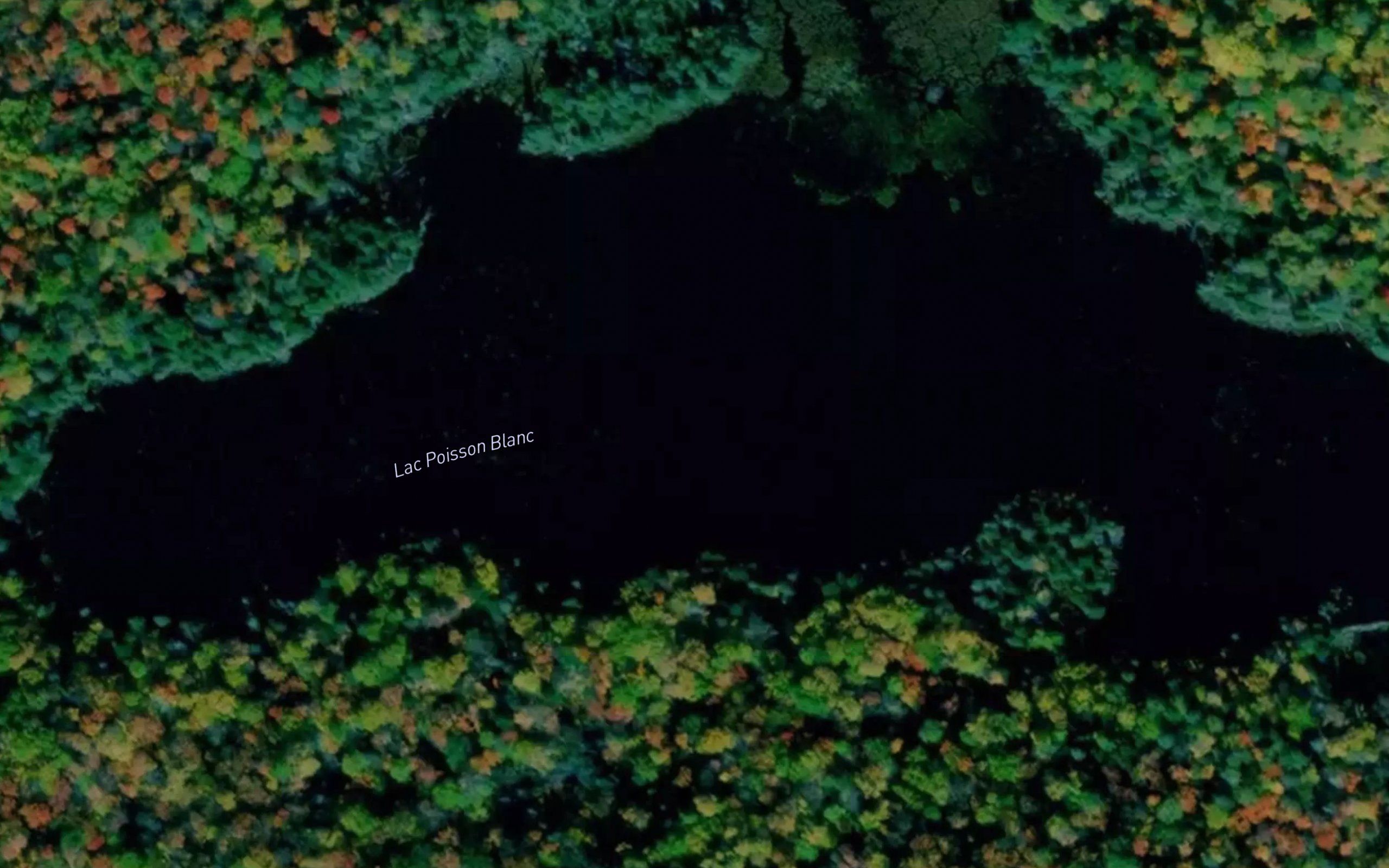 Lac Poisson Blanc
