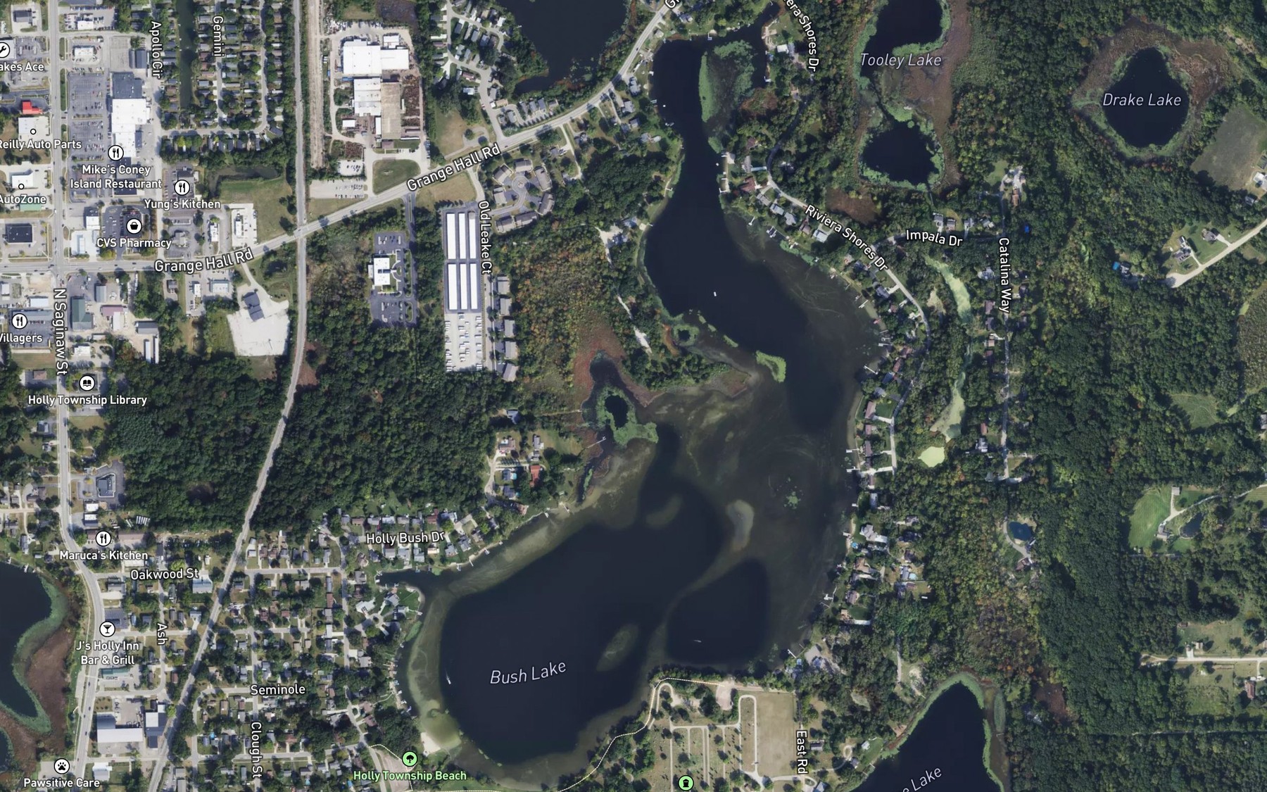Satellite map of the Bush Lake